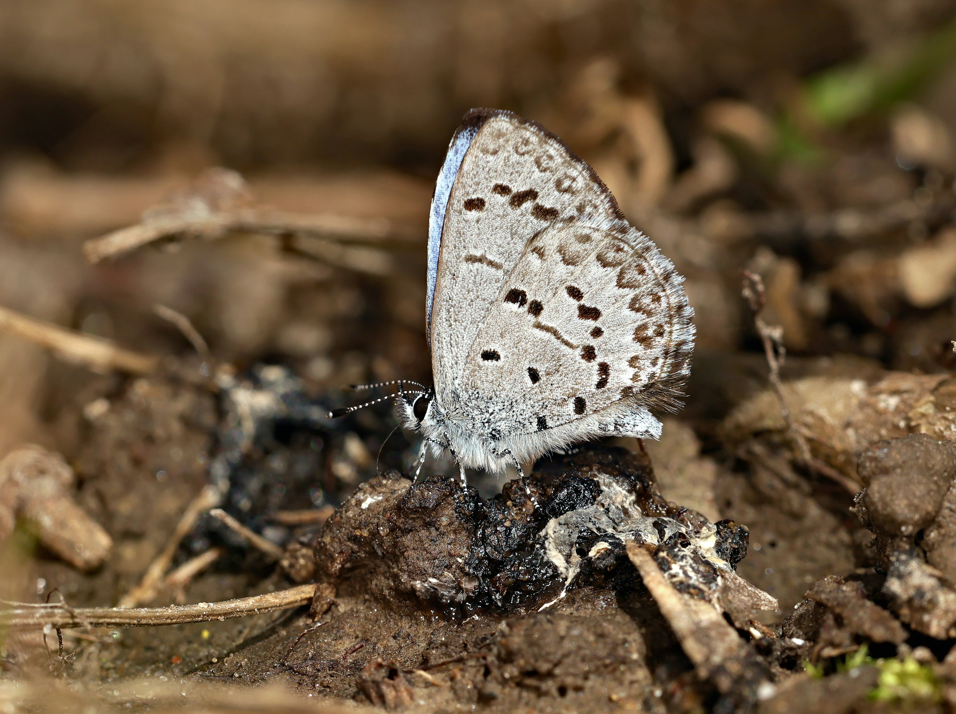 Photo by telliottmbamsc