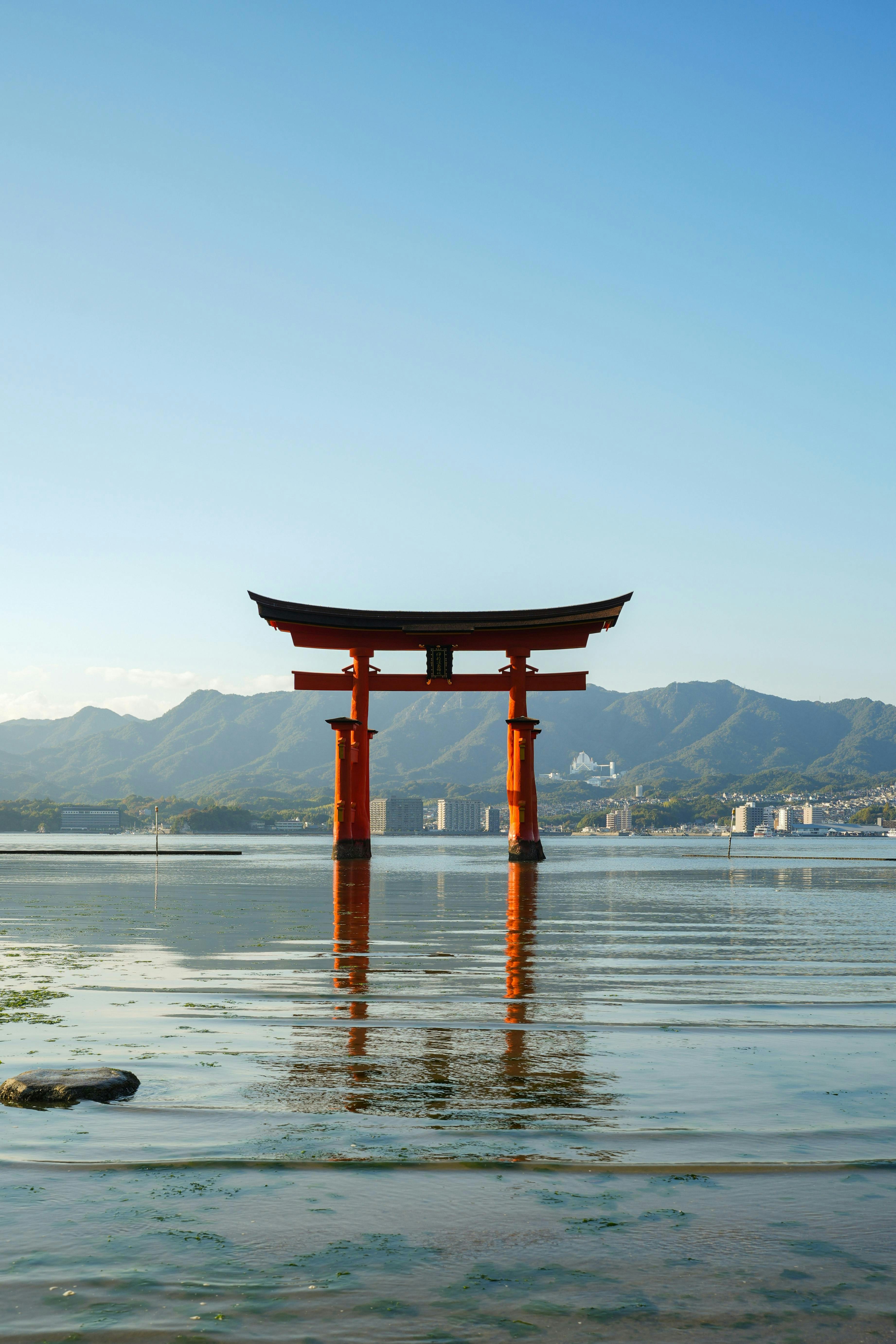 Photo by atharvasune