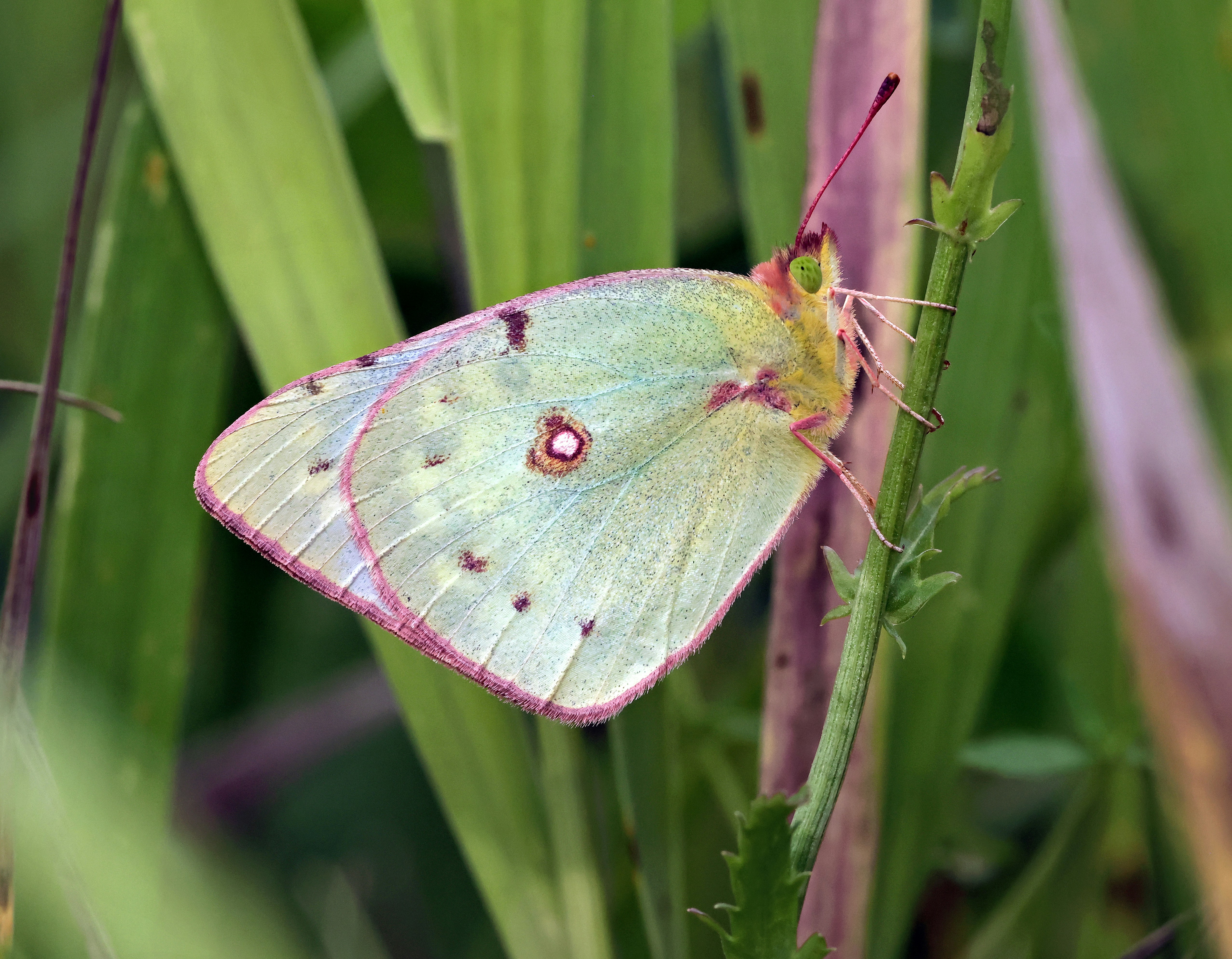 Photo by telliottmbamsc