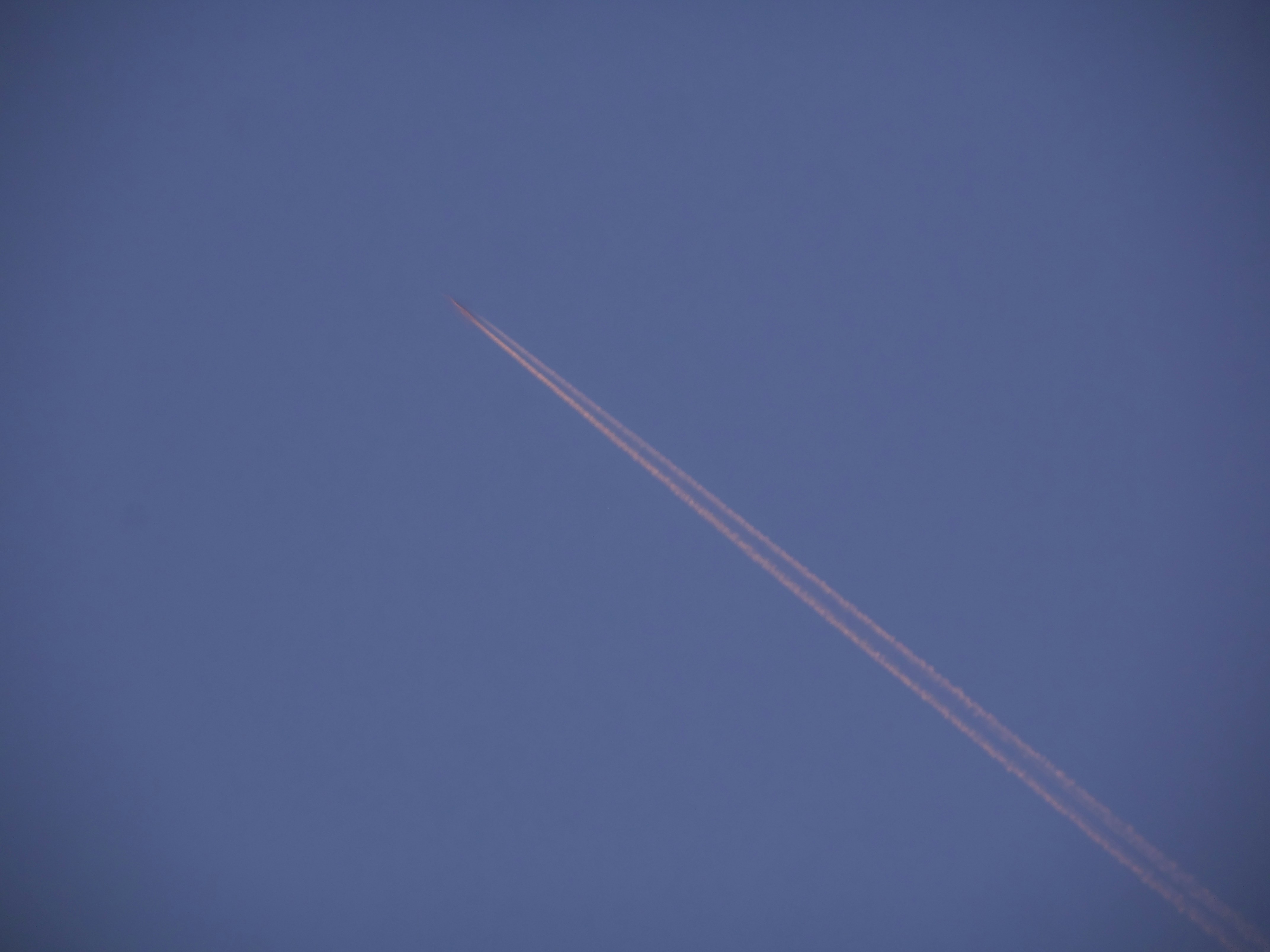 Photo by tiagos_pictures