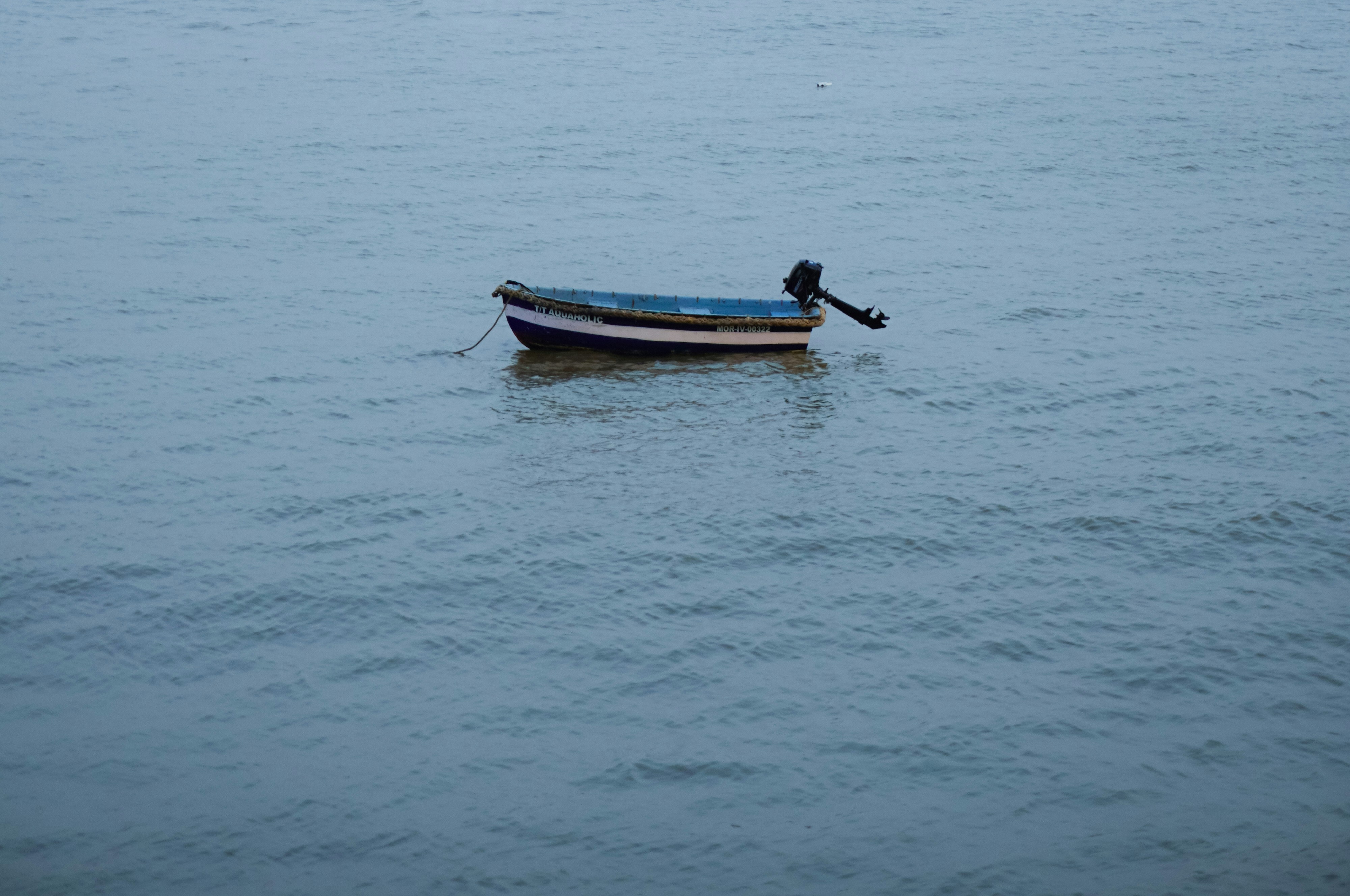 Photo by _muser_photography