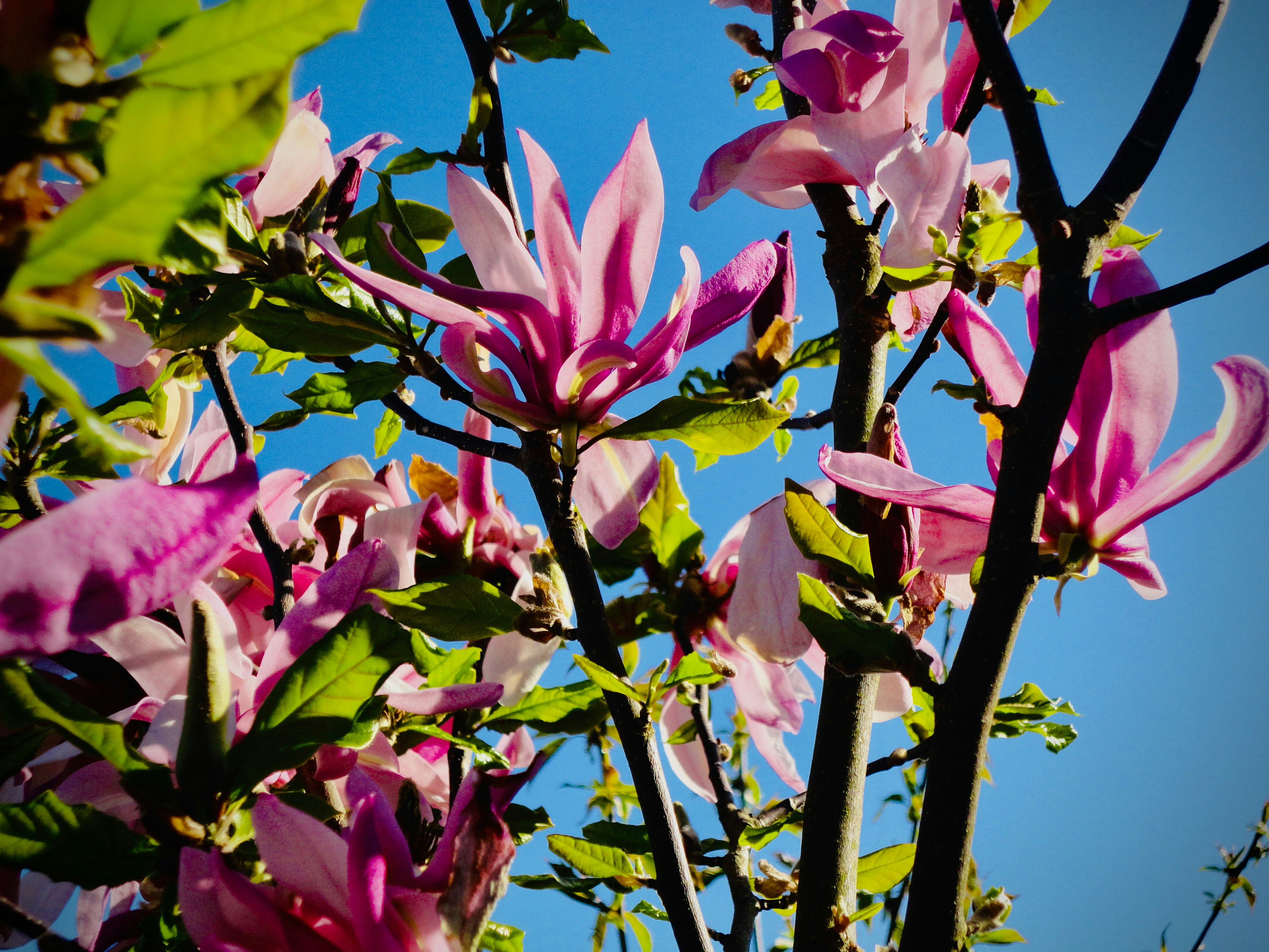 Photo by gielodebielo