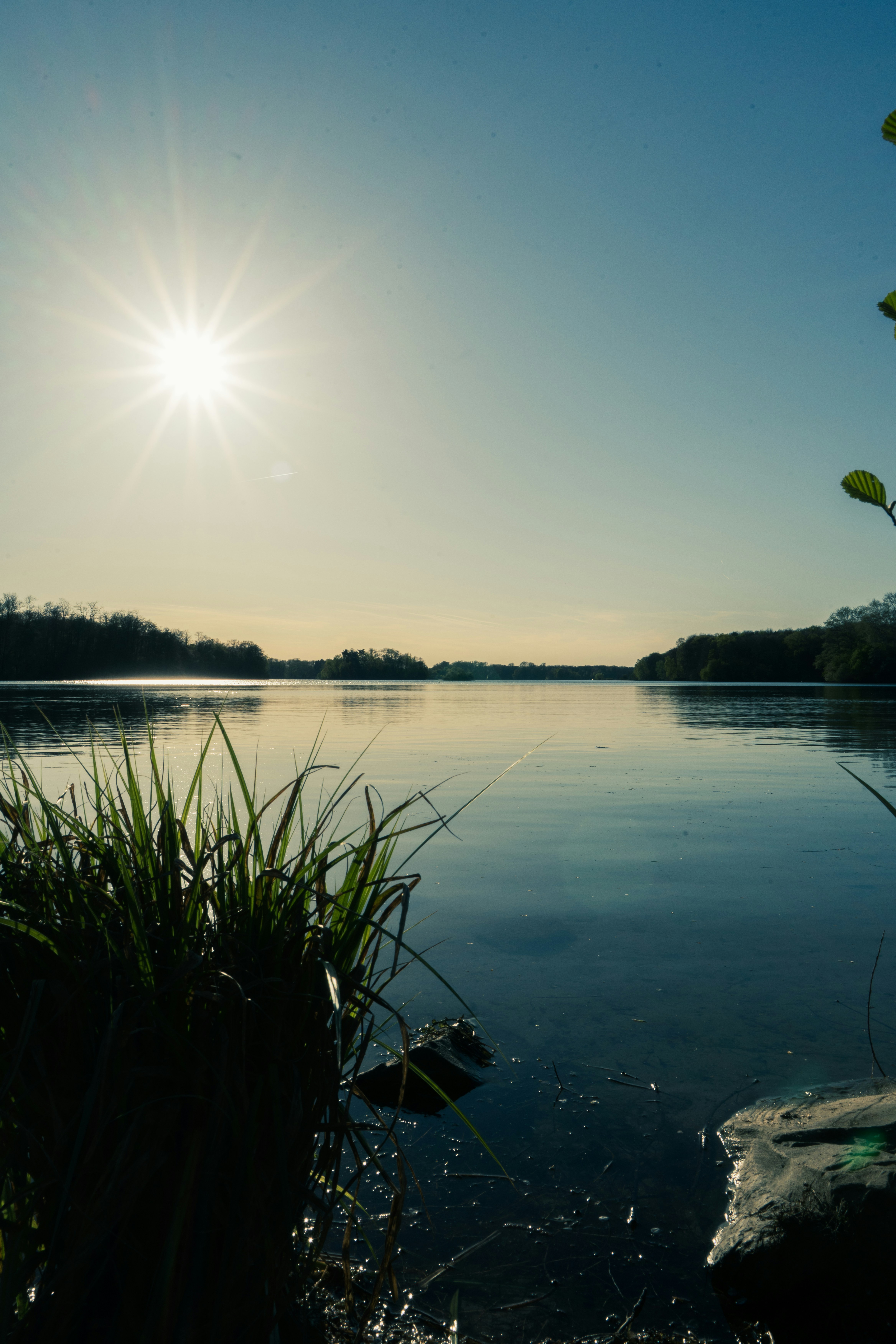 Photo by robertschwarz