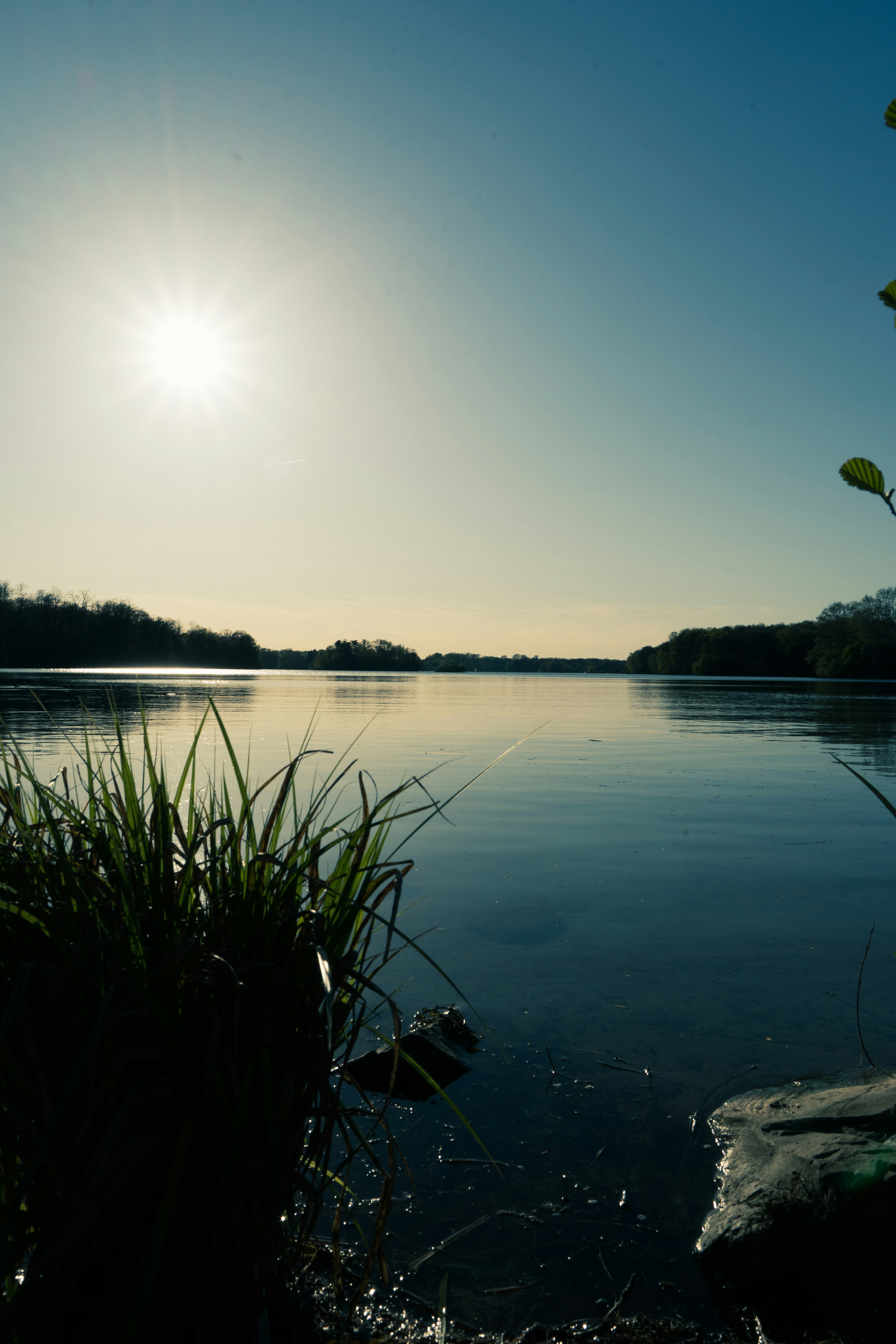 Photo by robertschwarz