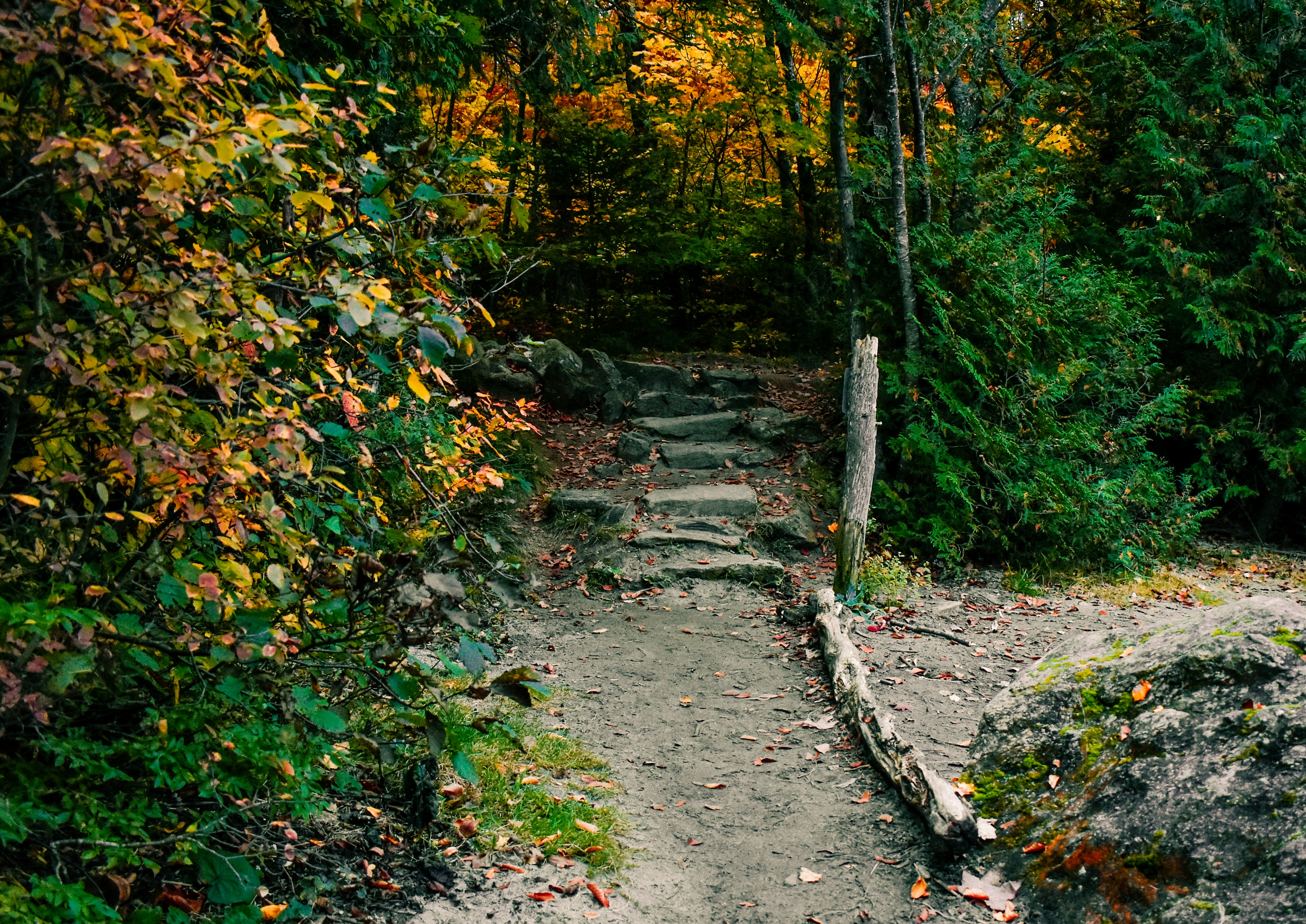 Photo by lxsphotography