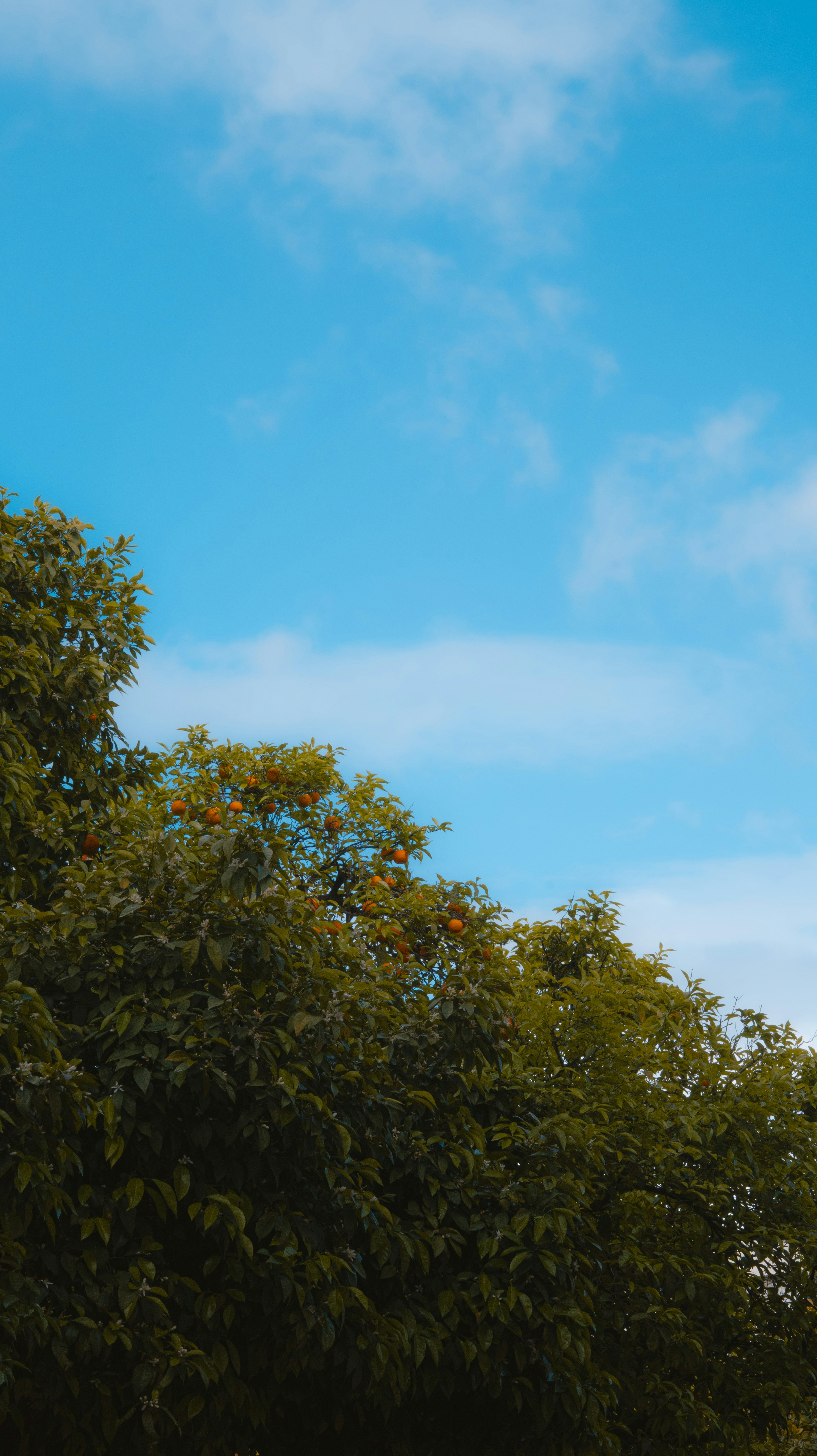 Photo by kerimcuneyt