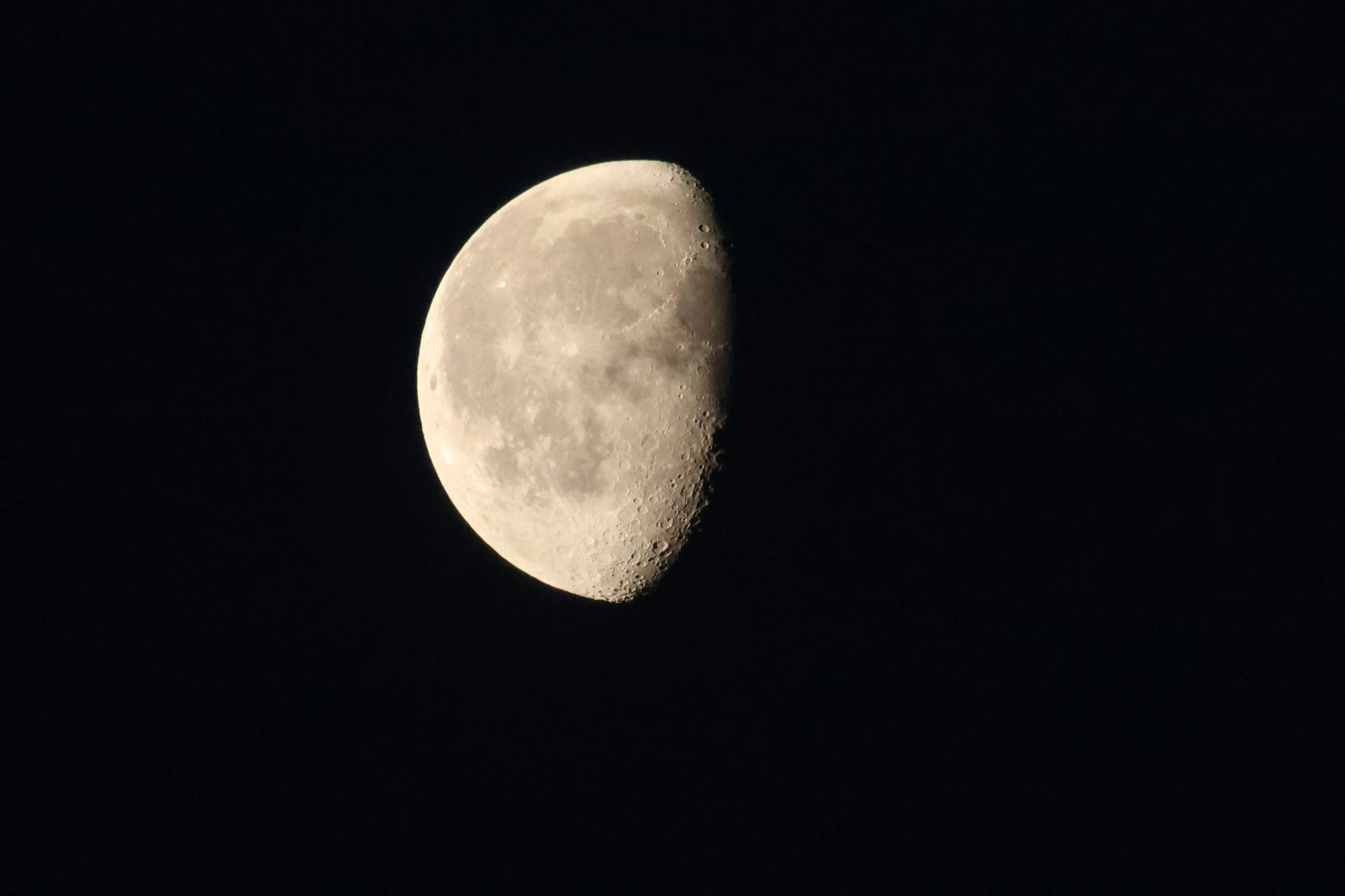 Photo by pavlo_bodnar