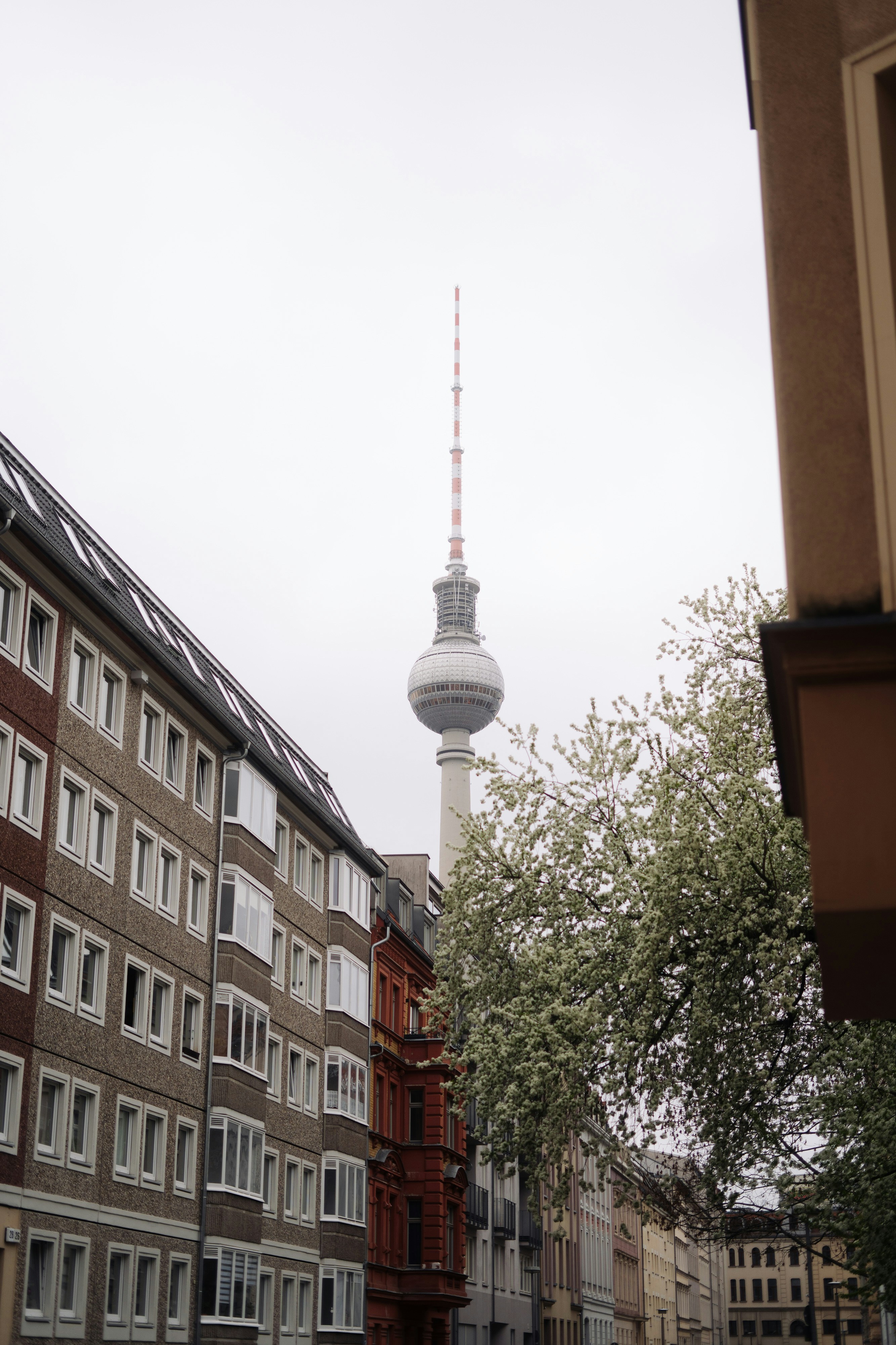 Photo by robert_lens