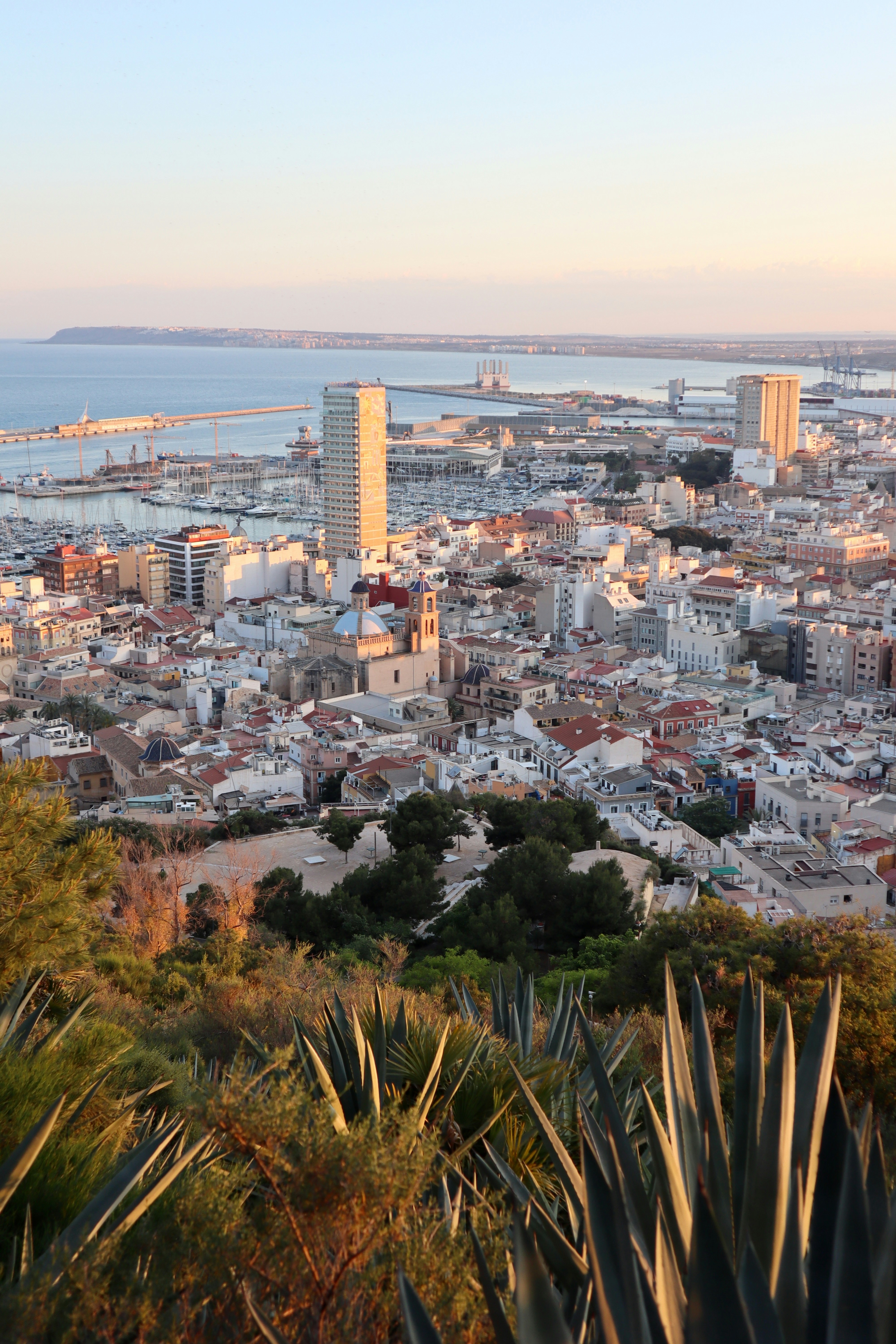 Photo by taishiwalden