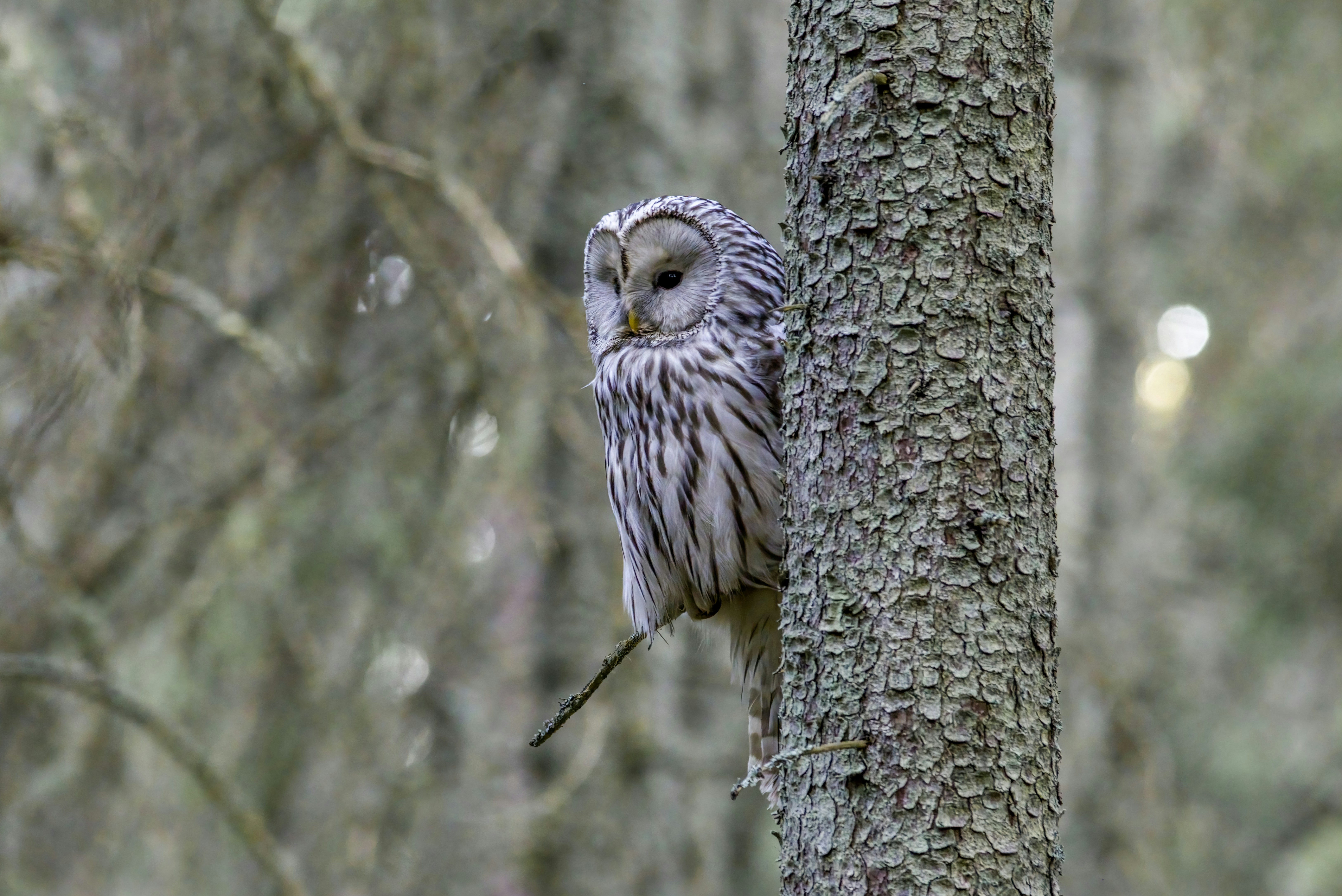 Photo by erik_karits