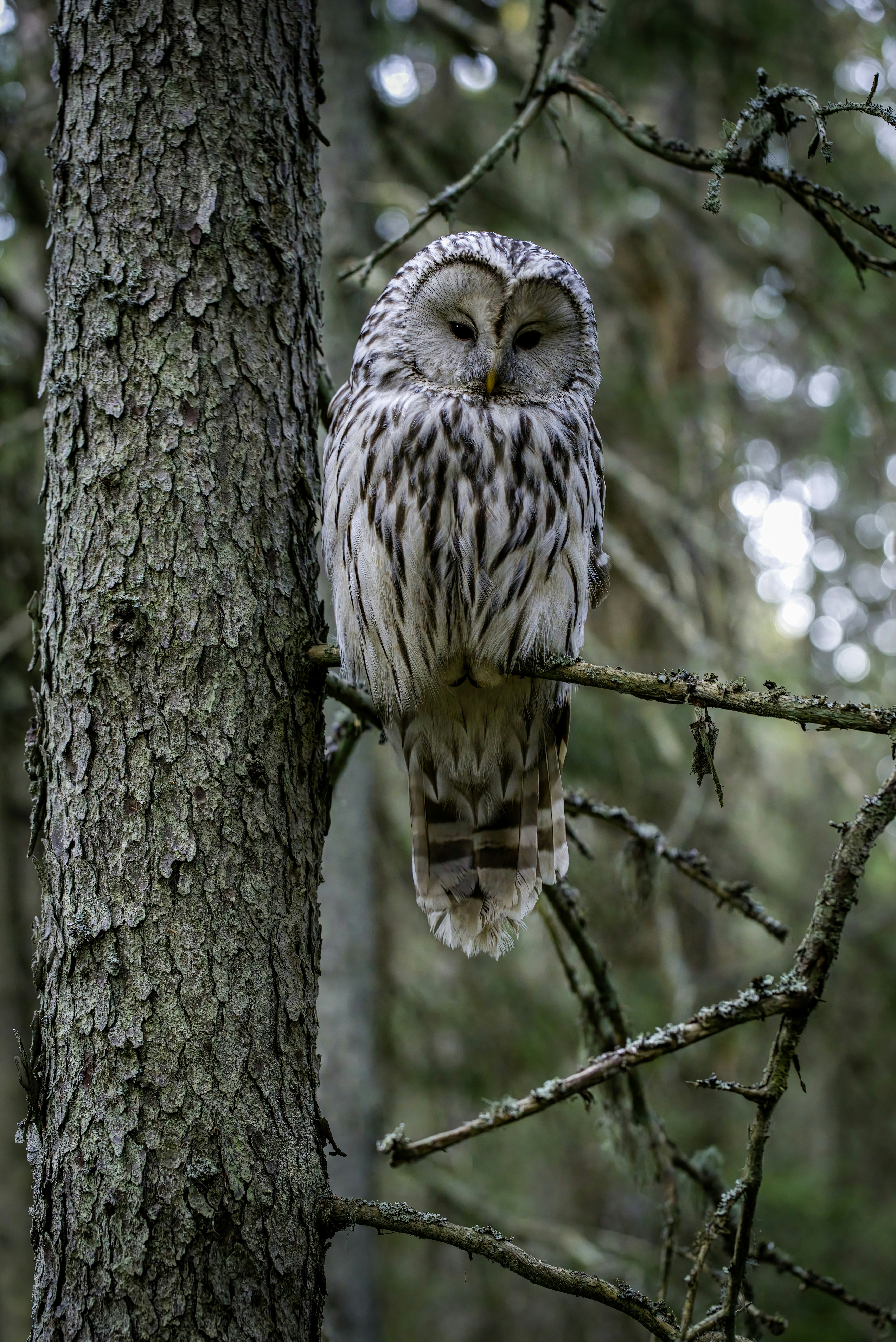 Photo by erik_karits