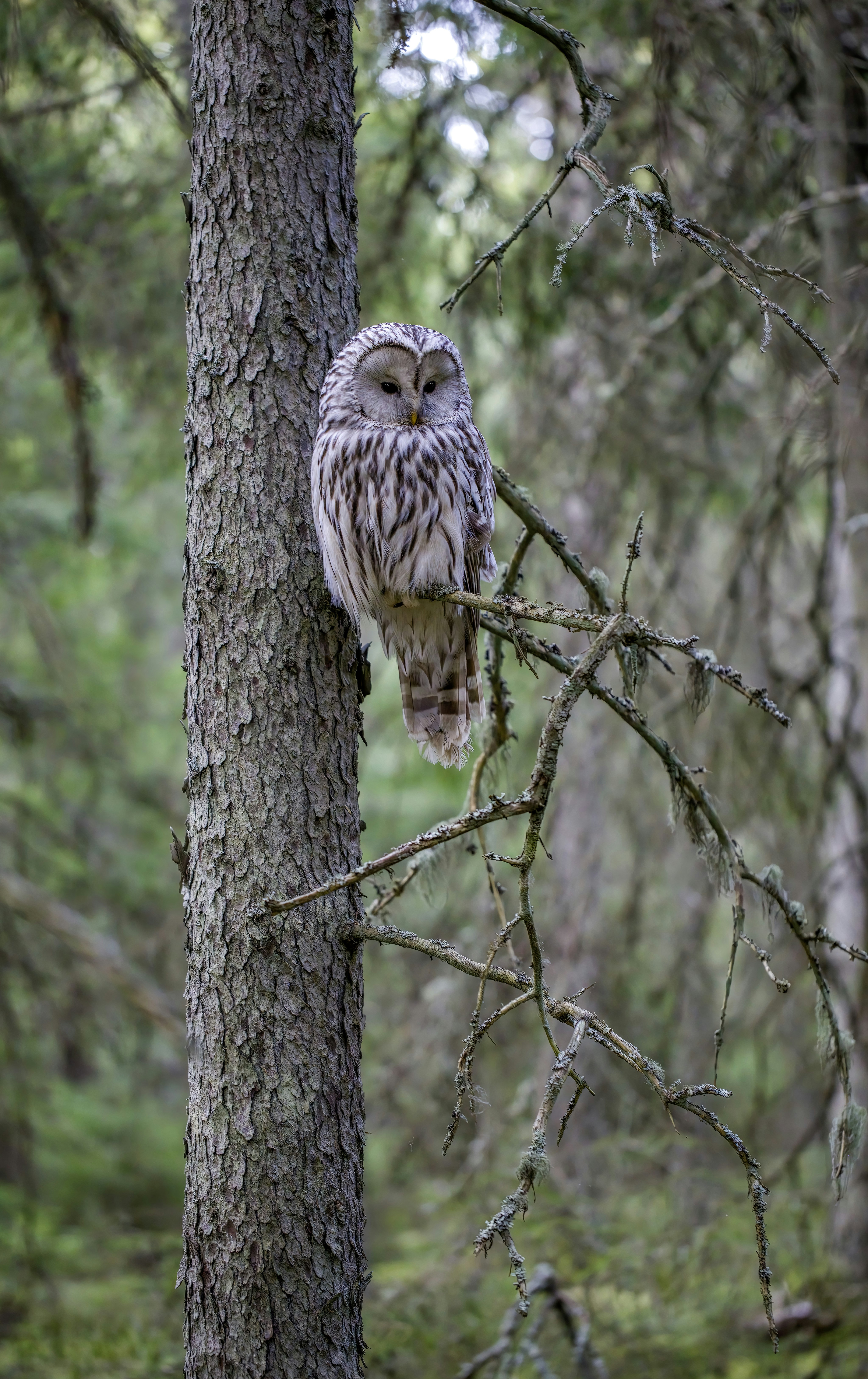 Photo by erik_karits