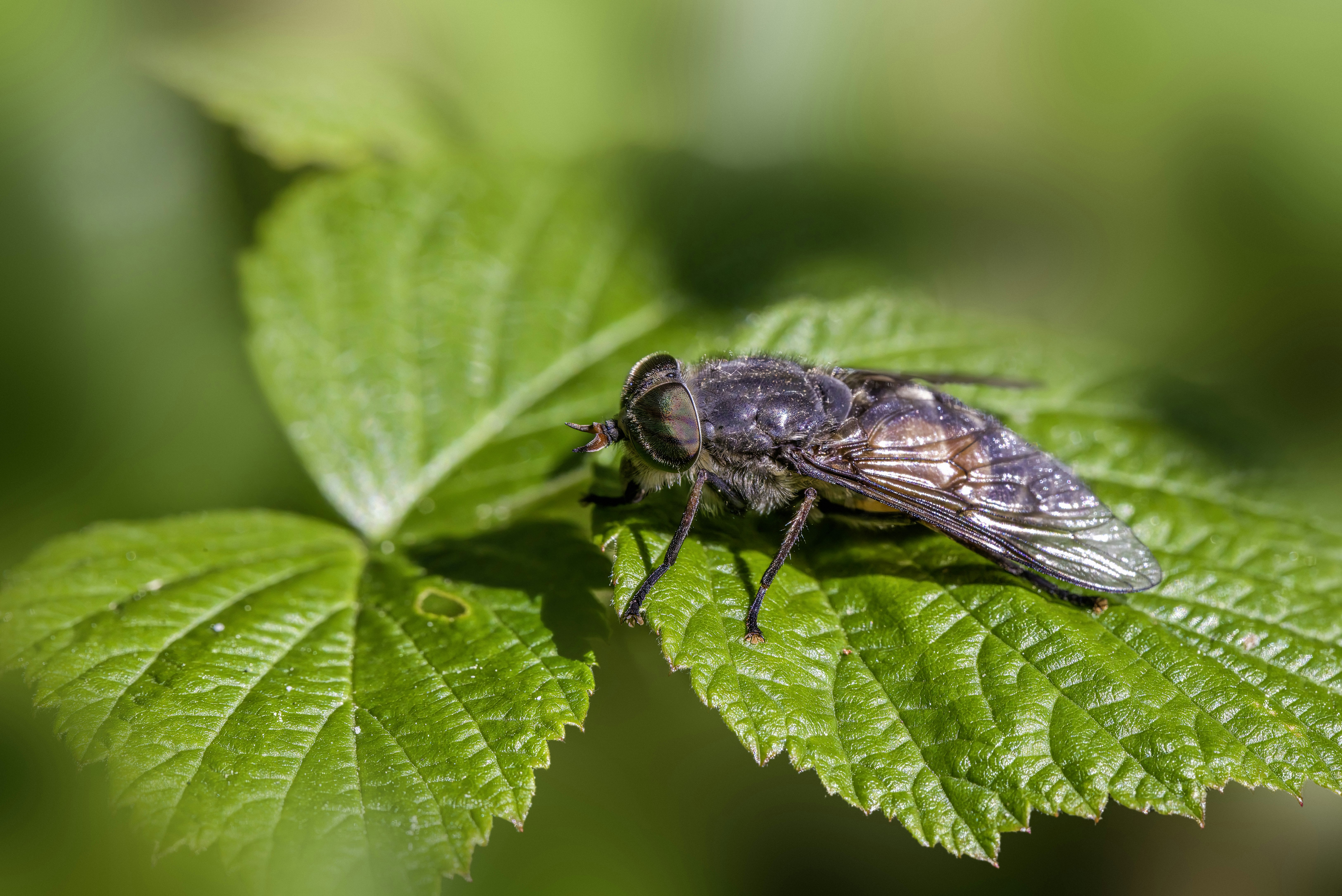 Photo by erik_karits