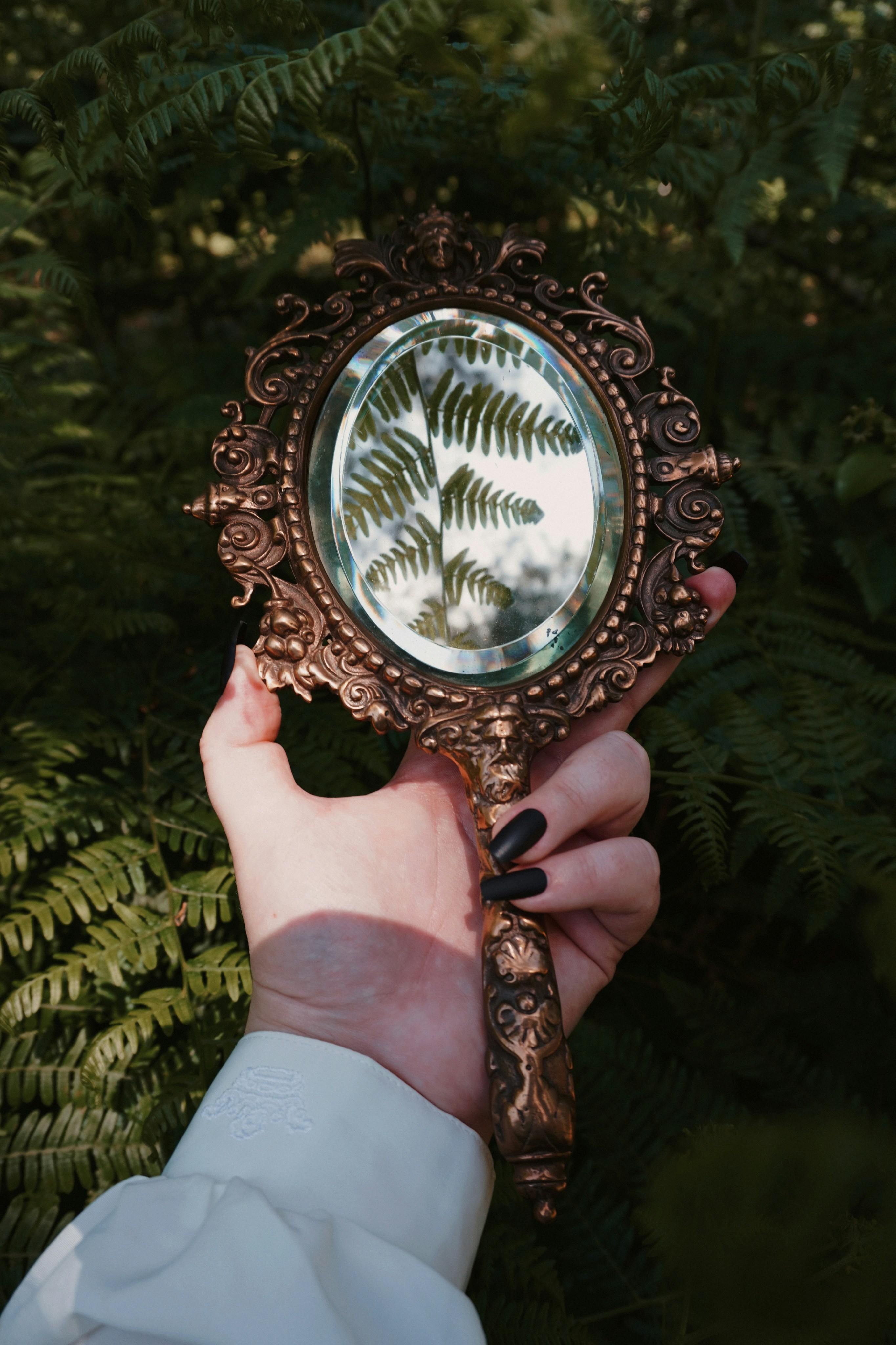 Hand holds a mirror reflecting a fern.