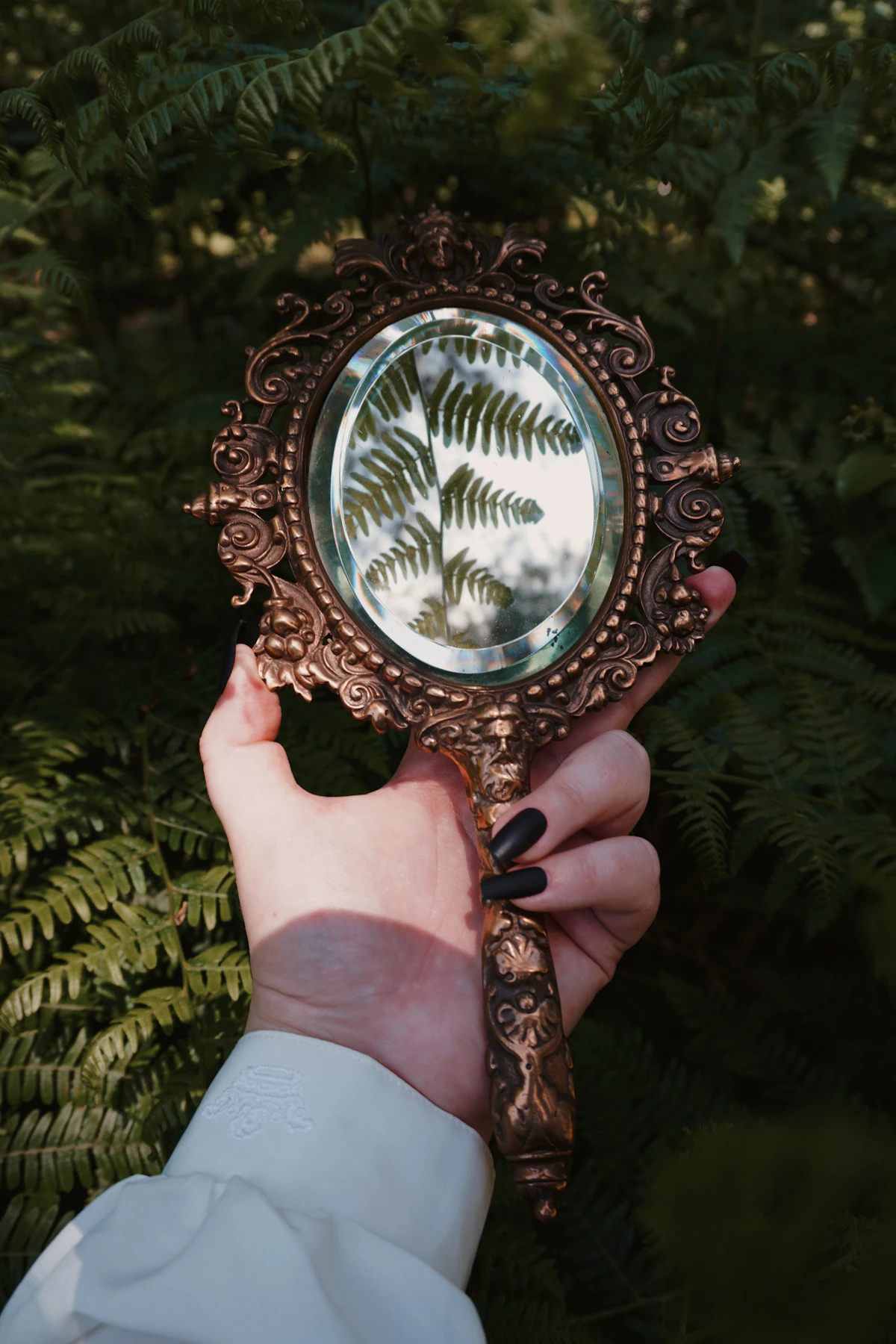 Hand holding a mirror reflecting a fern