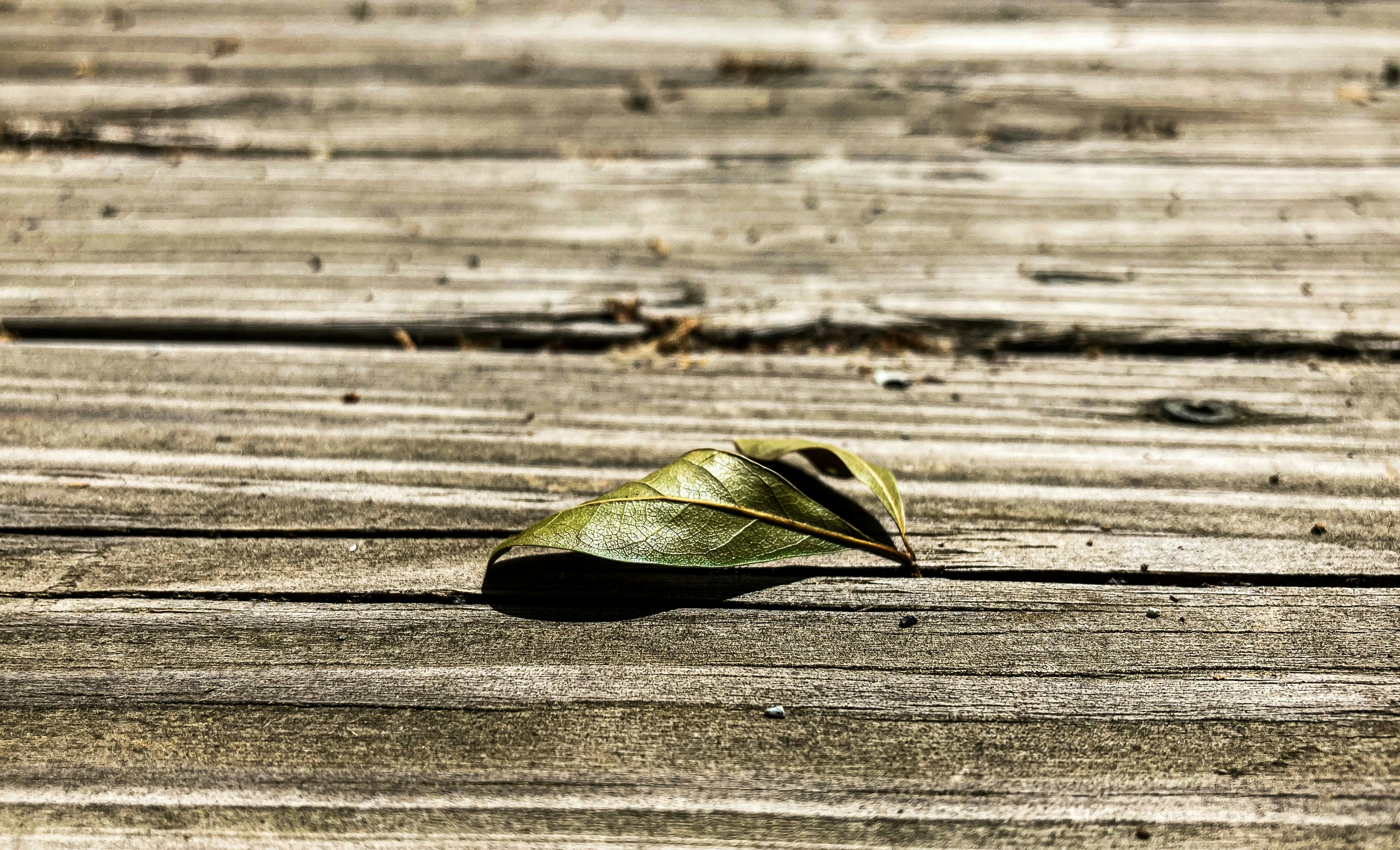 Photo by alexisbrown1996