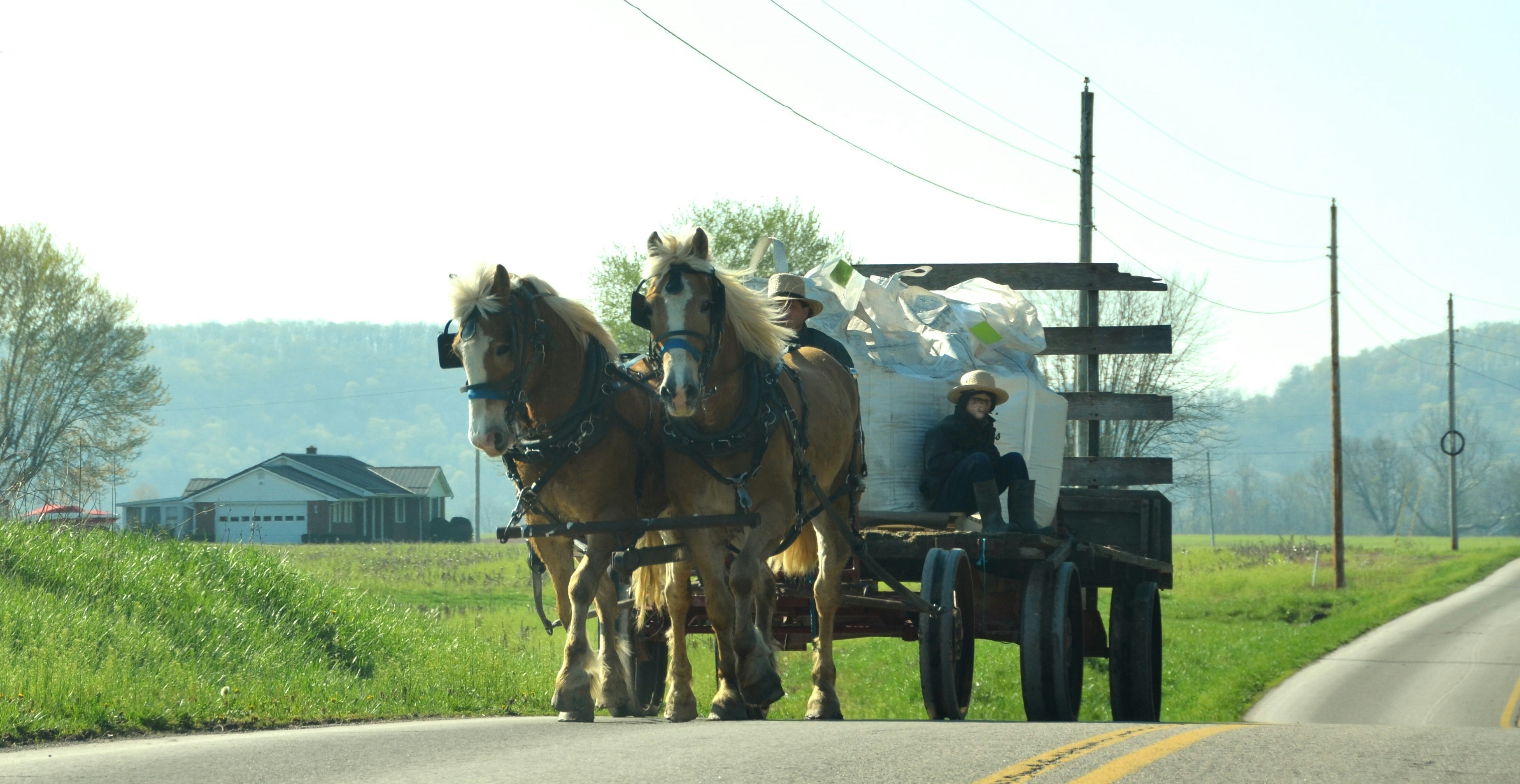 Horses pulling a carriage down a road.