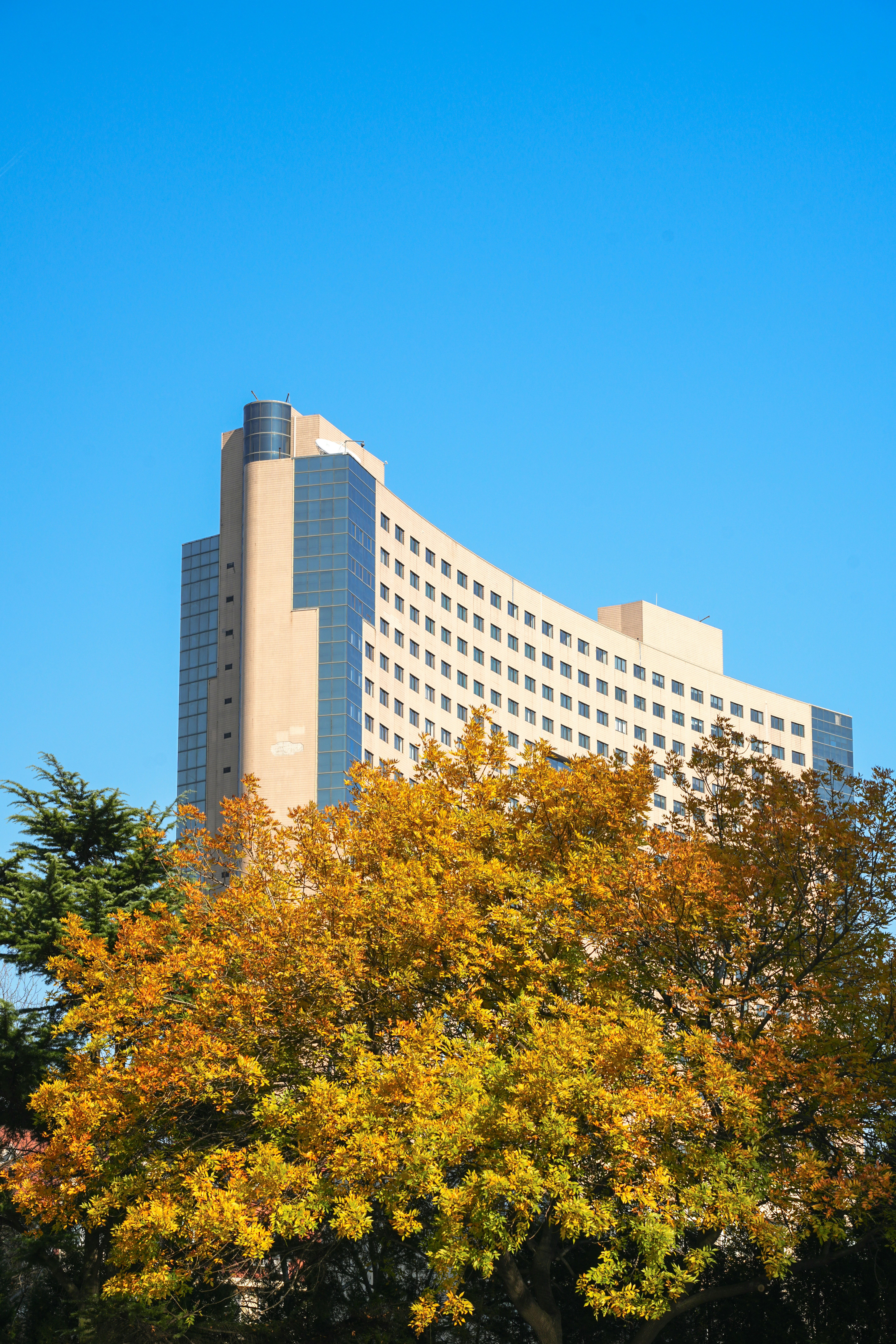 Photo by hattrick1996