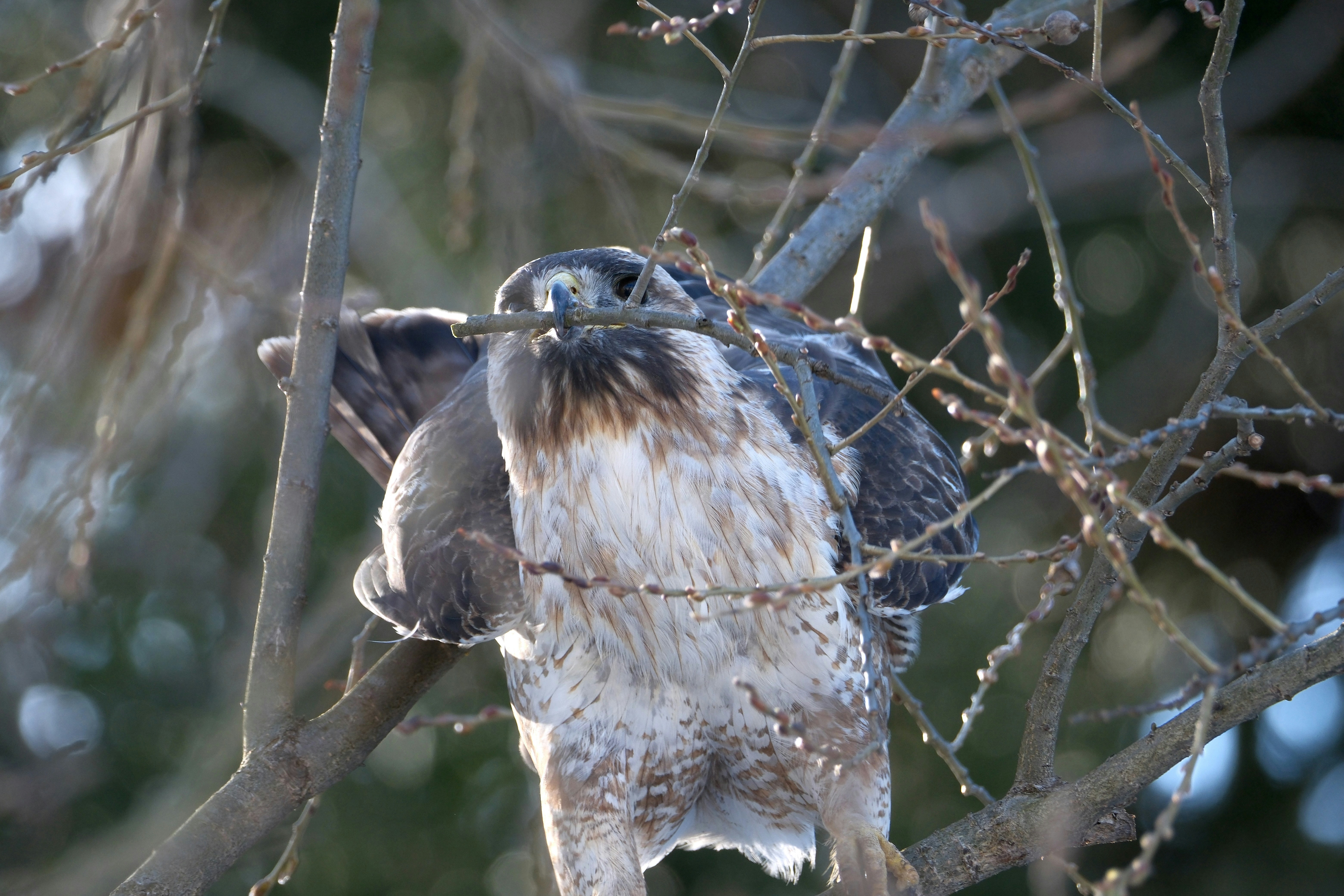 Photo by seiya_maeda