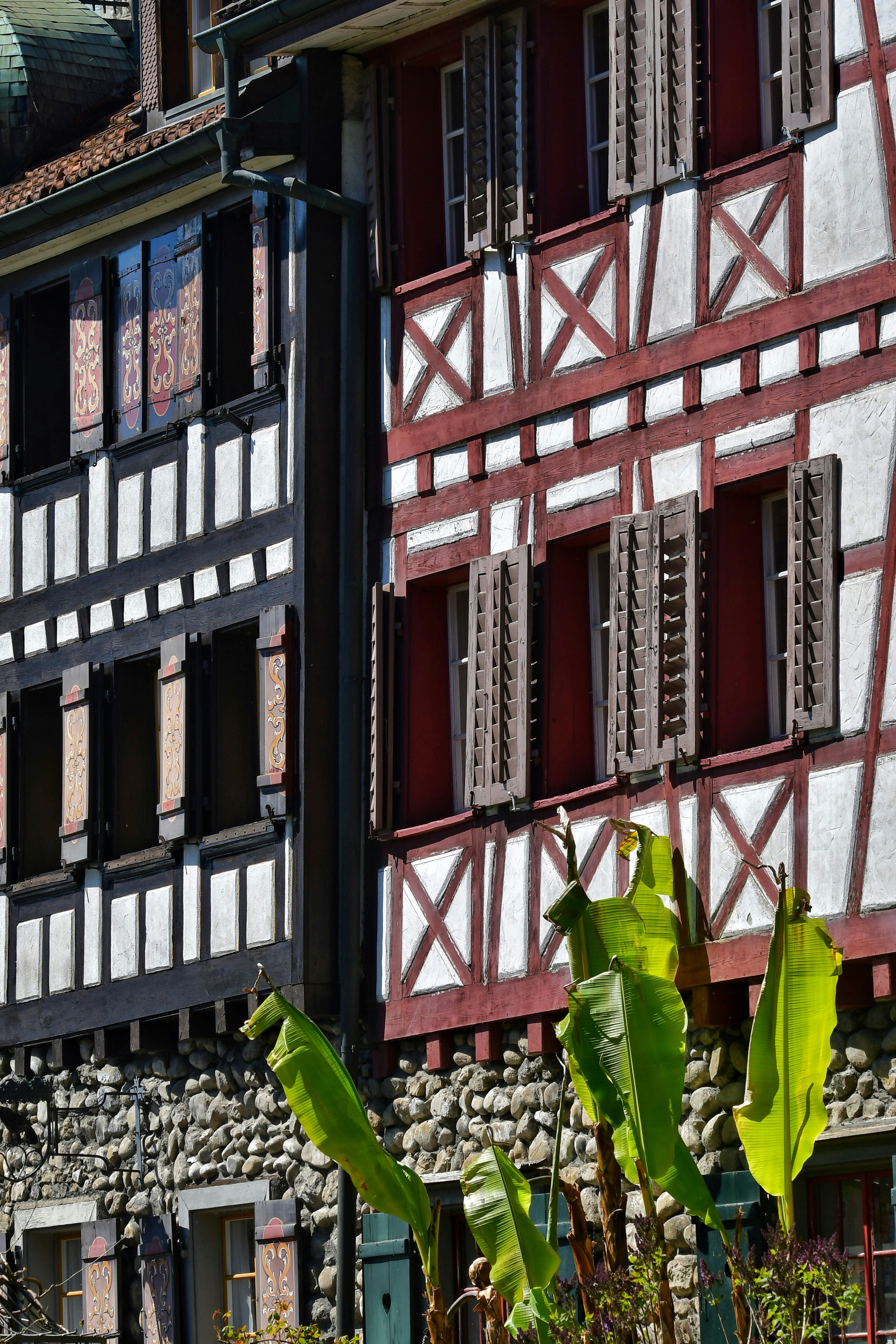 Photo by pedrino5_official