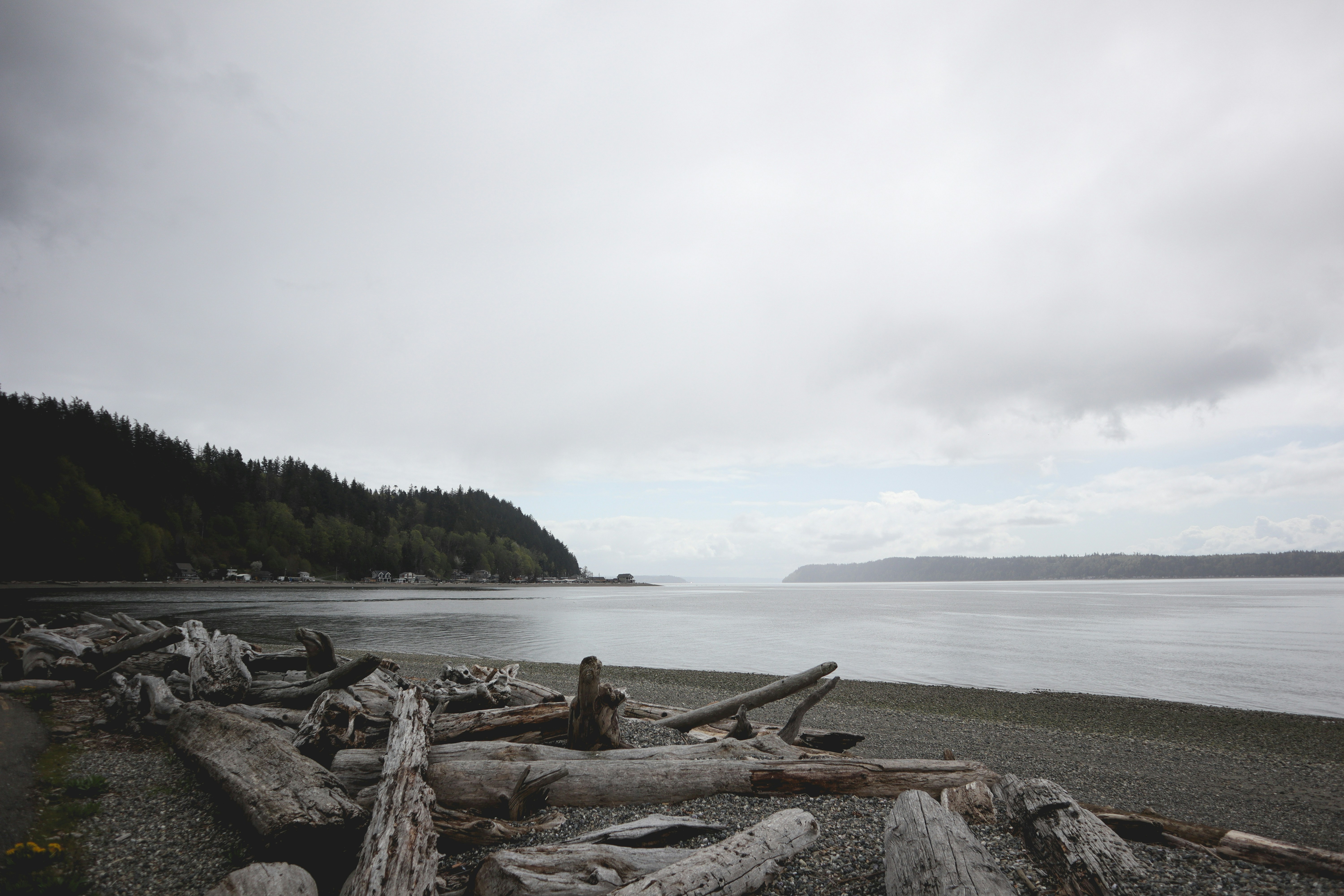 Photo by pendulumphotographs