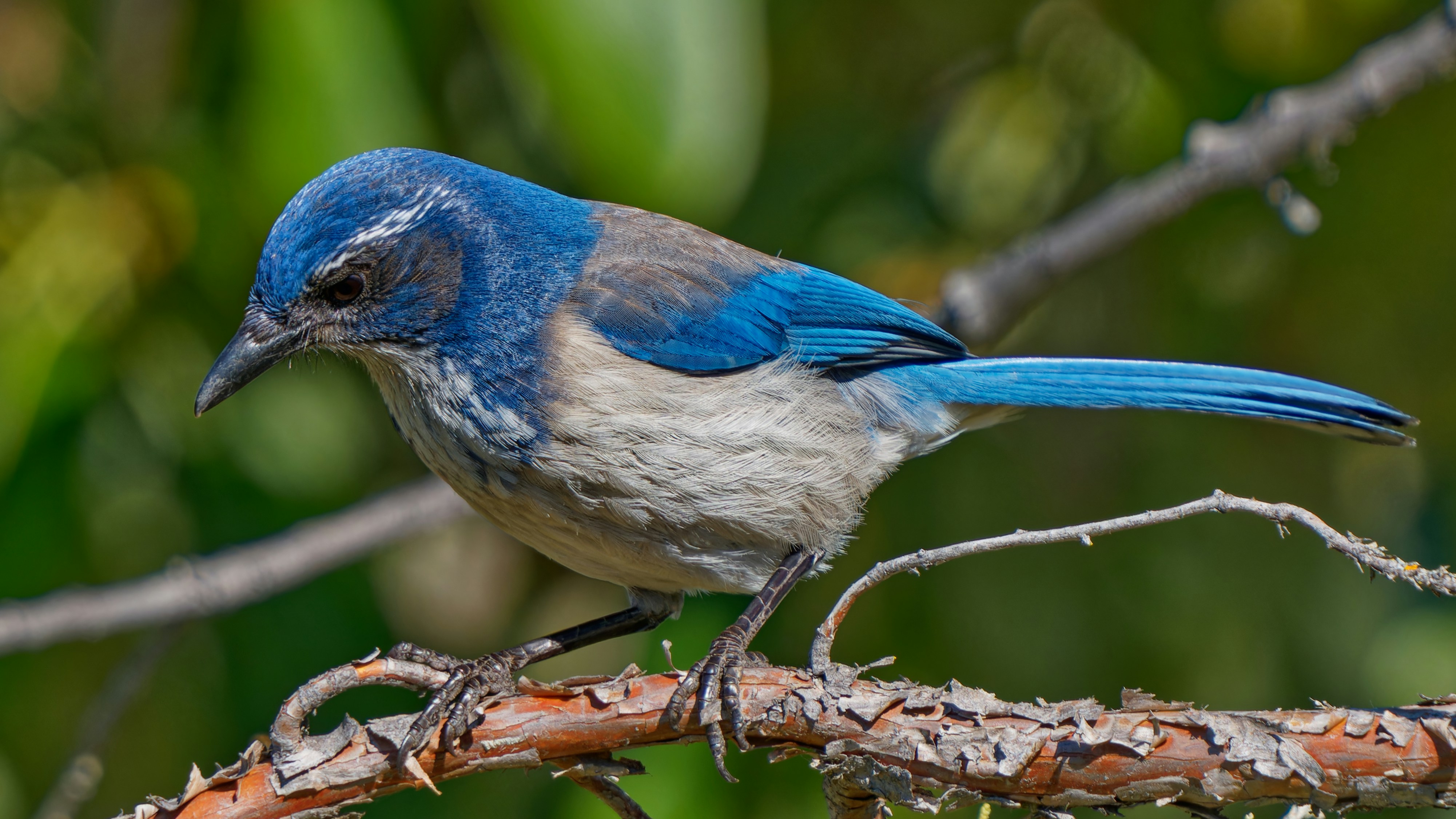 Photo by patrickbigelow_zoom_in