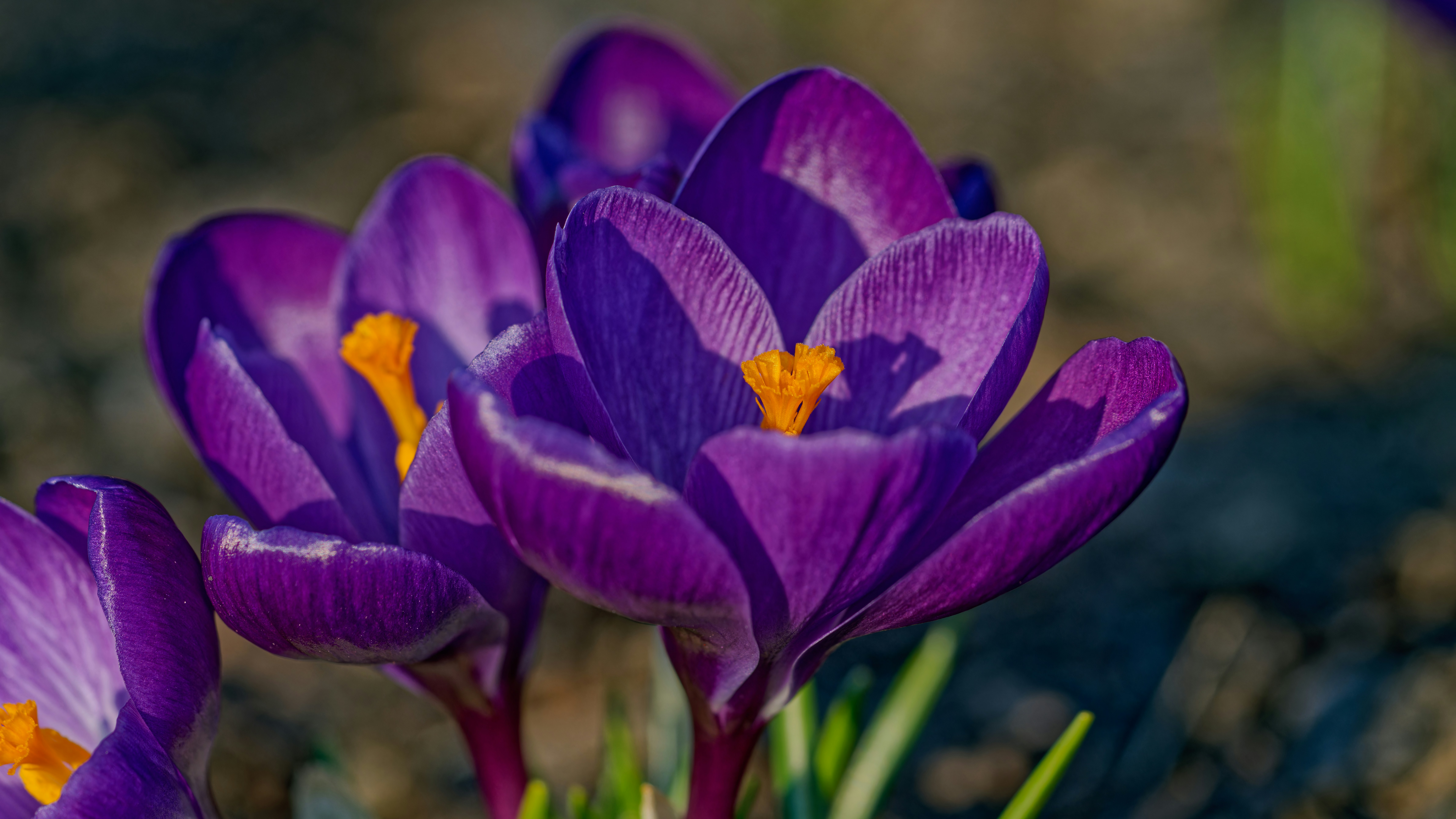 Photo by patrickbigelow_zoom_in