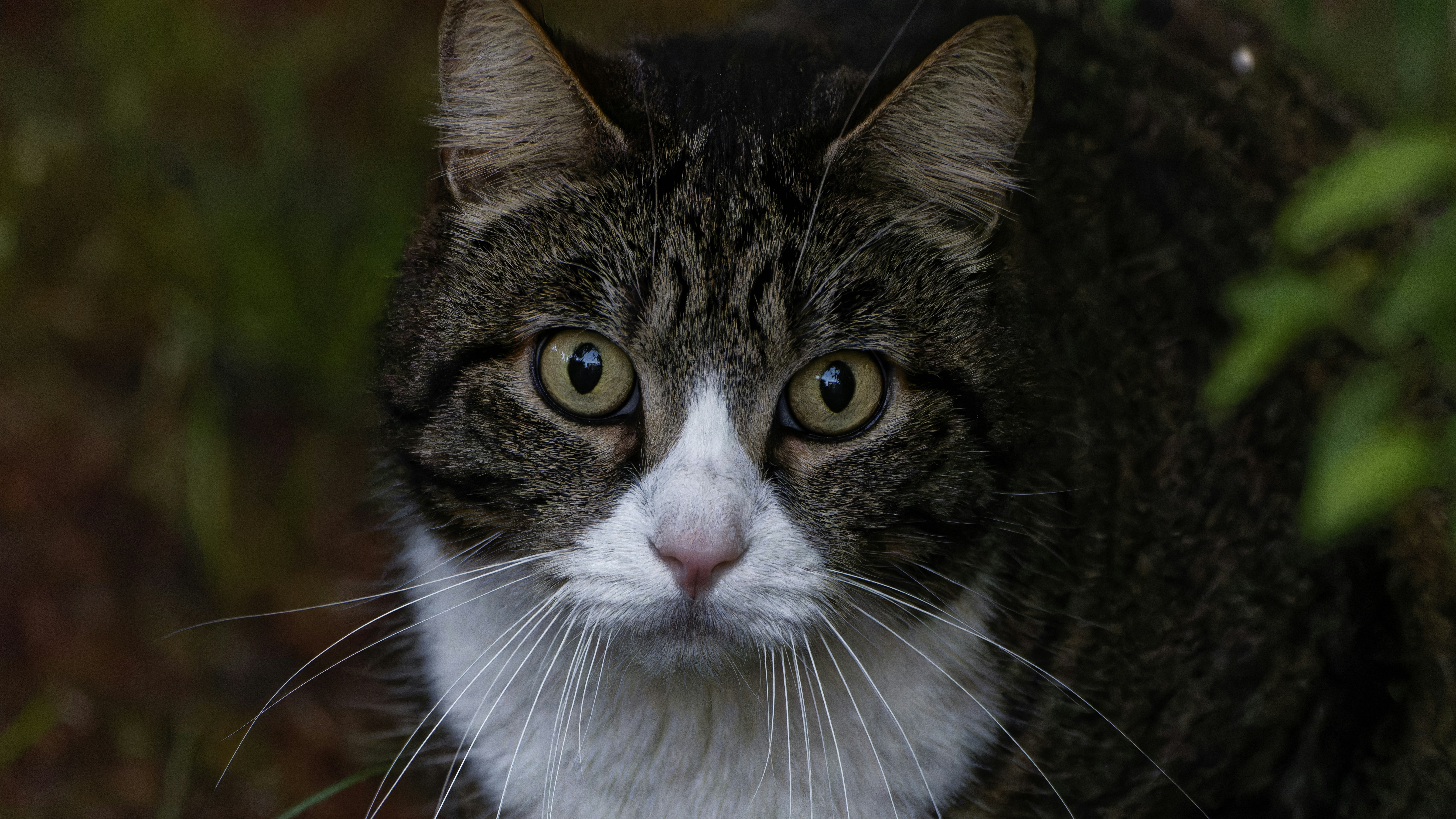 Photo by patrickbigelow_zoom_in