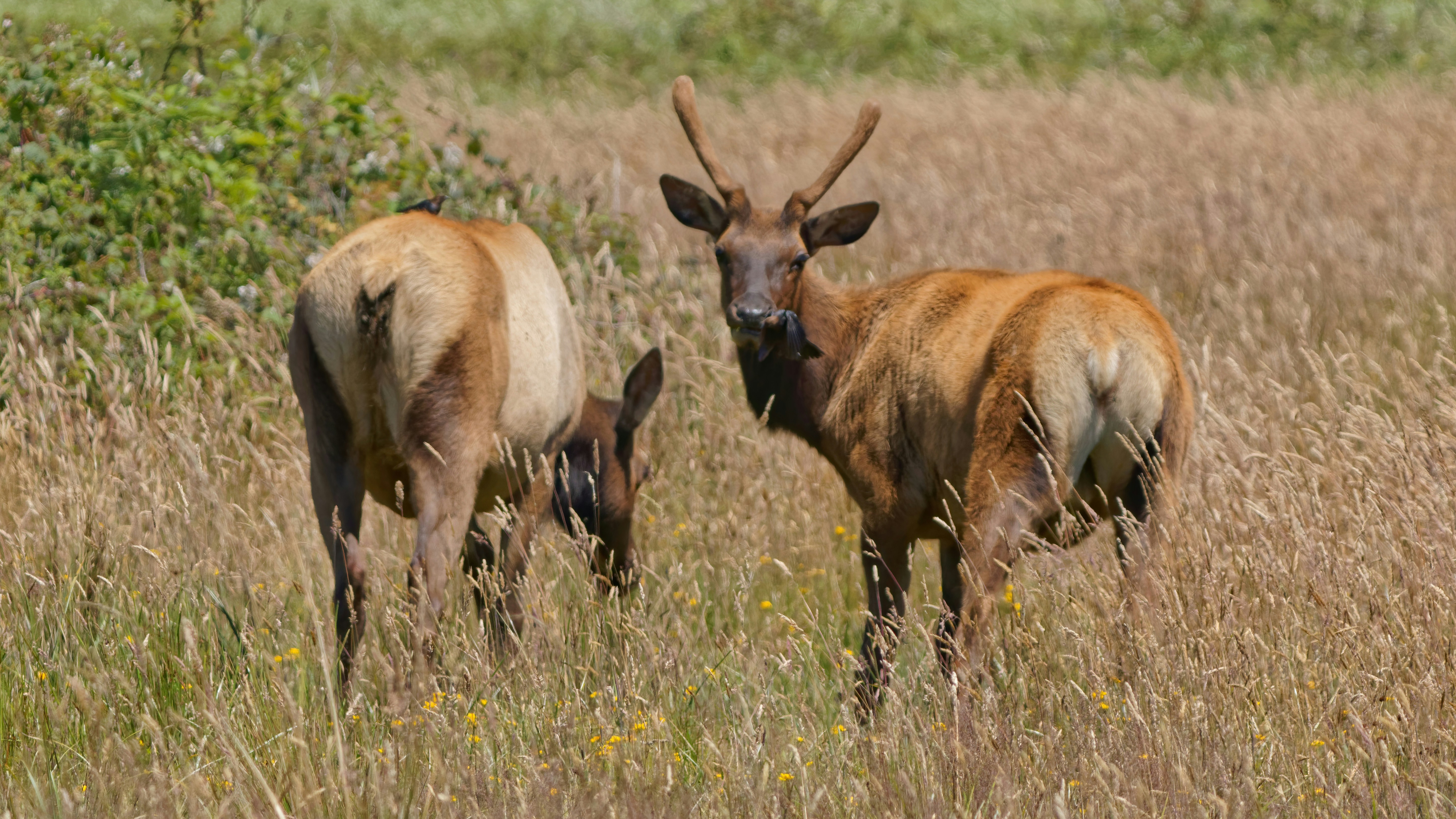 Photo by patrickbigelow_zoom_in