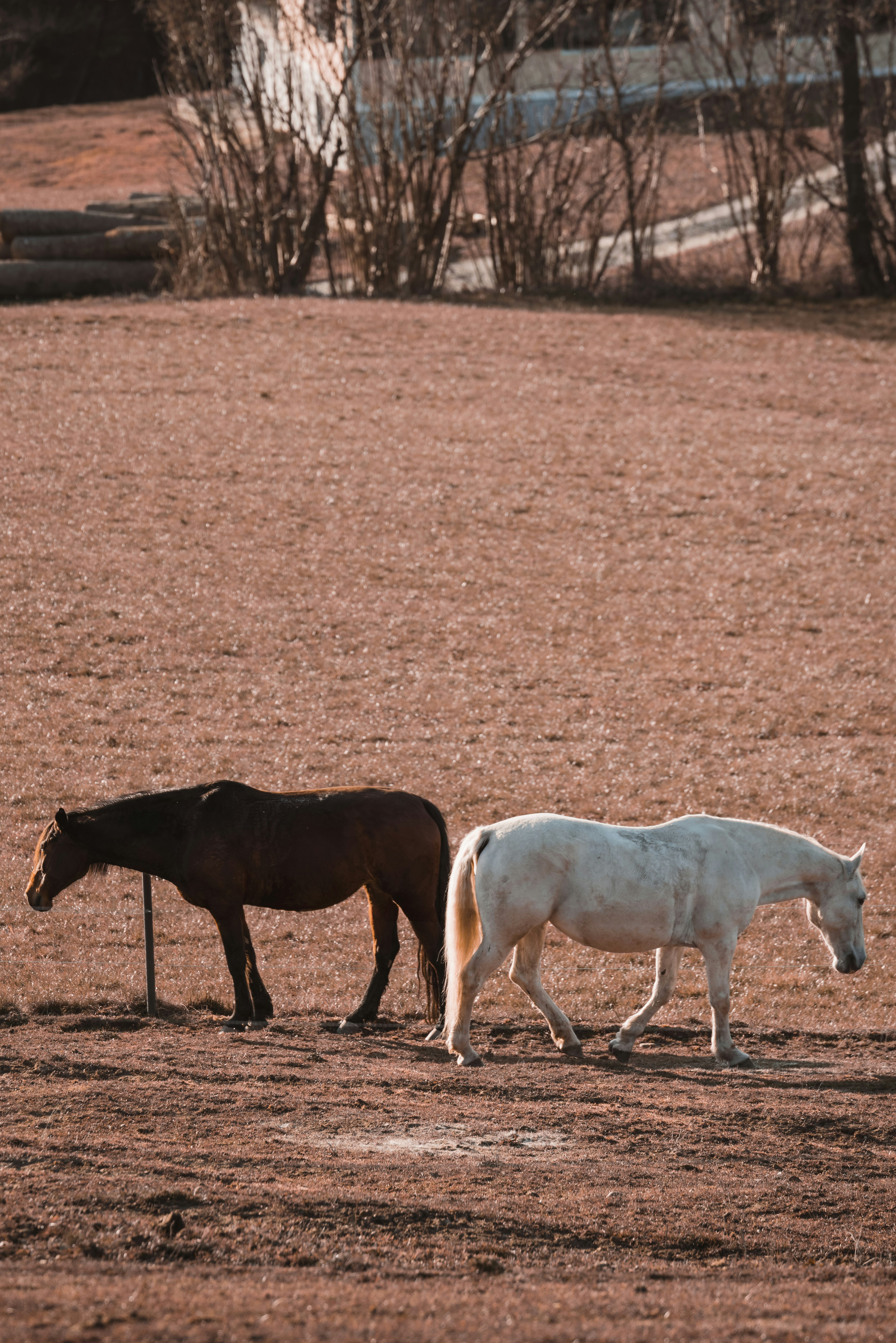 Photo by ahmetyuksek