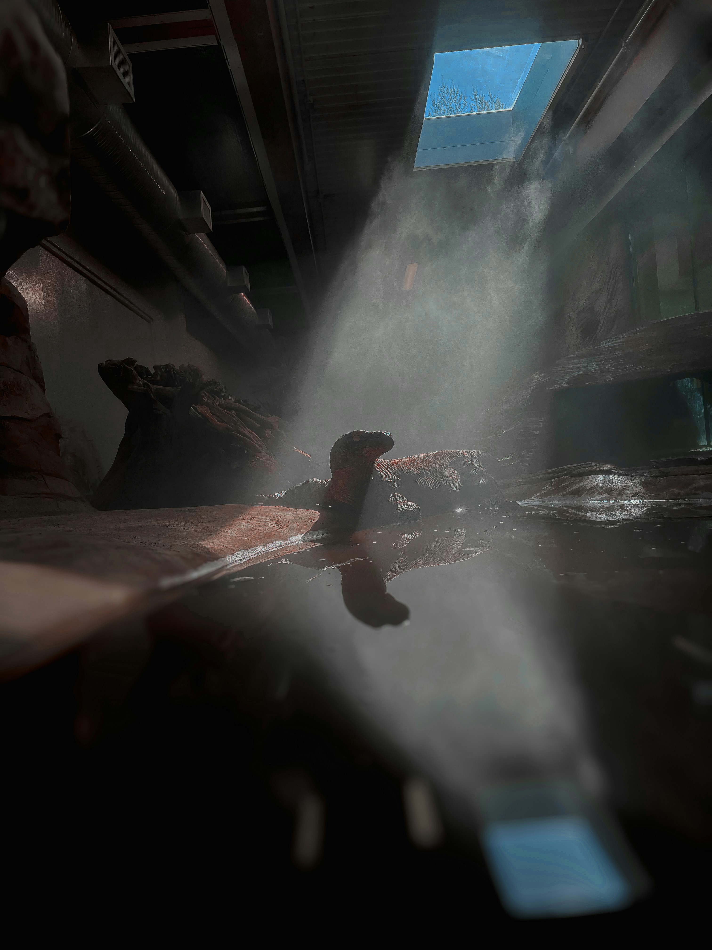 Photo by obeida_abouleila