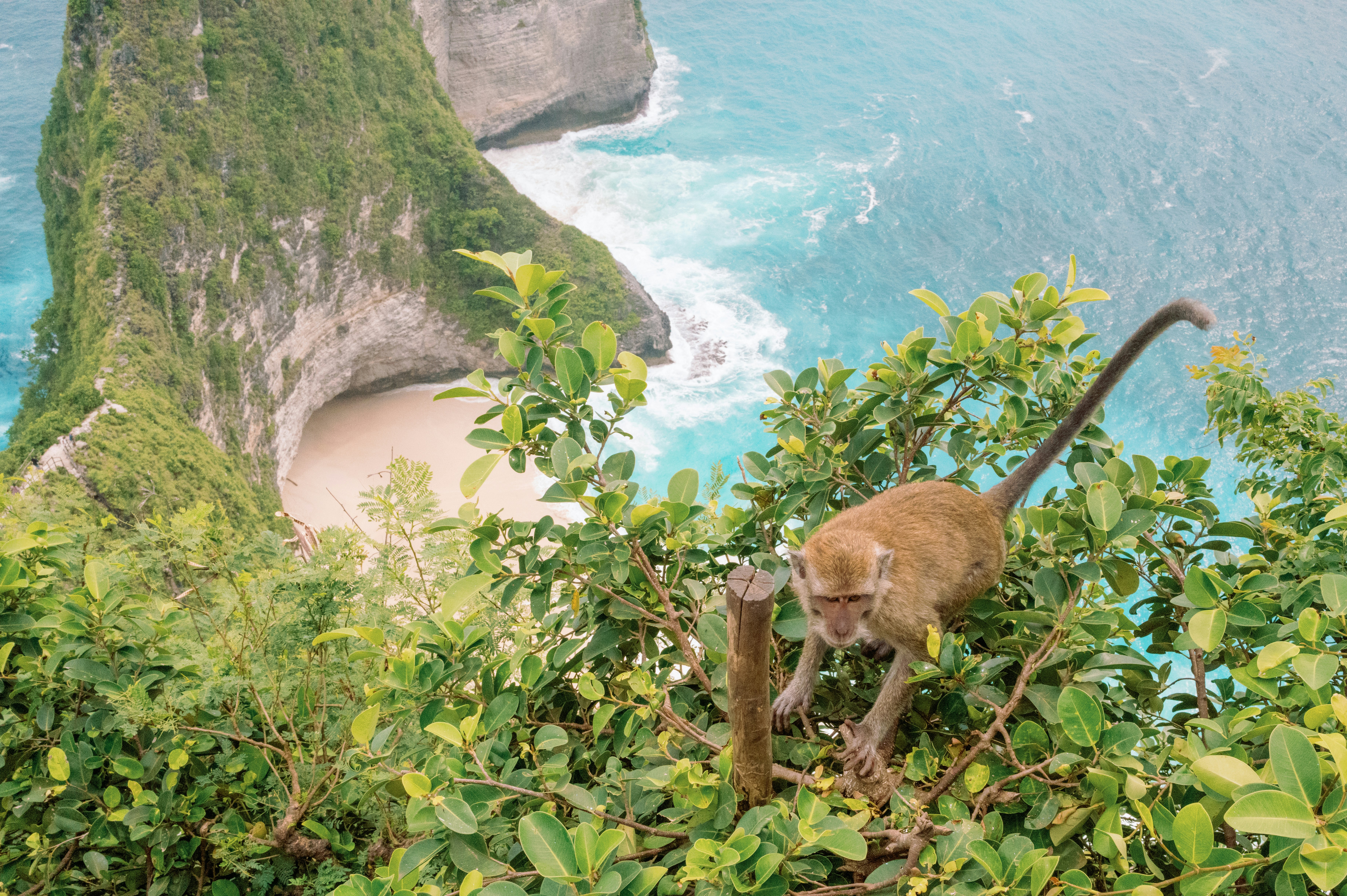 7 Wildlife Encounters from Caribbean Adventure Guides