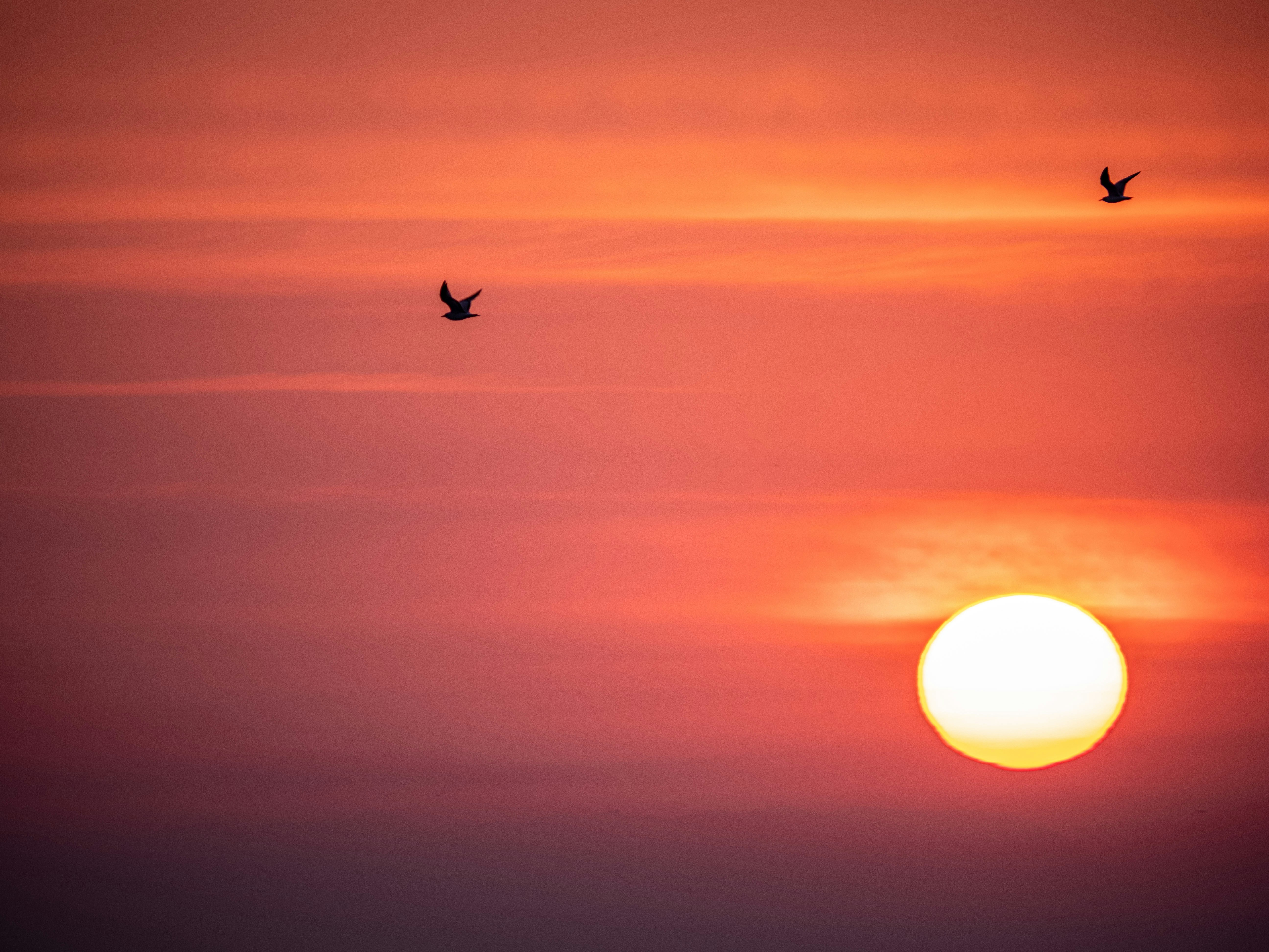 Photo by gopitri_prem