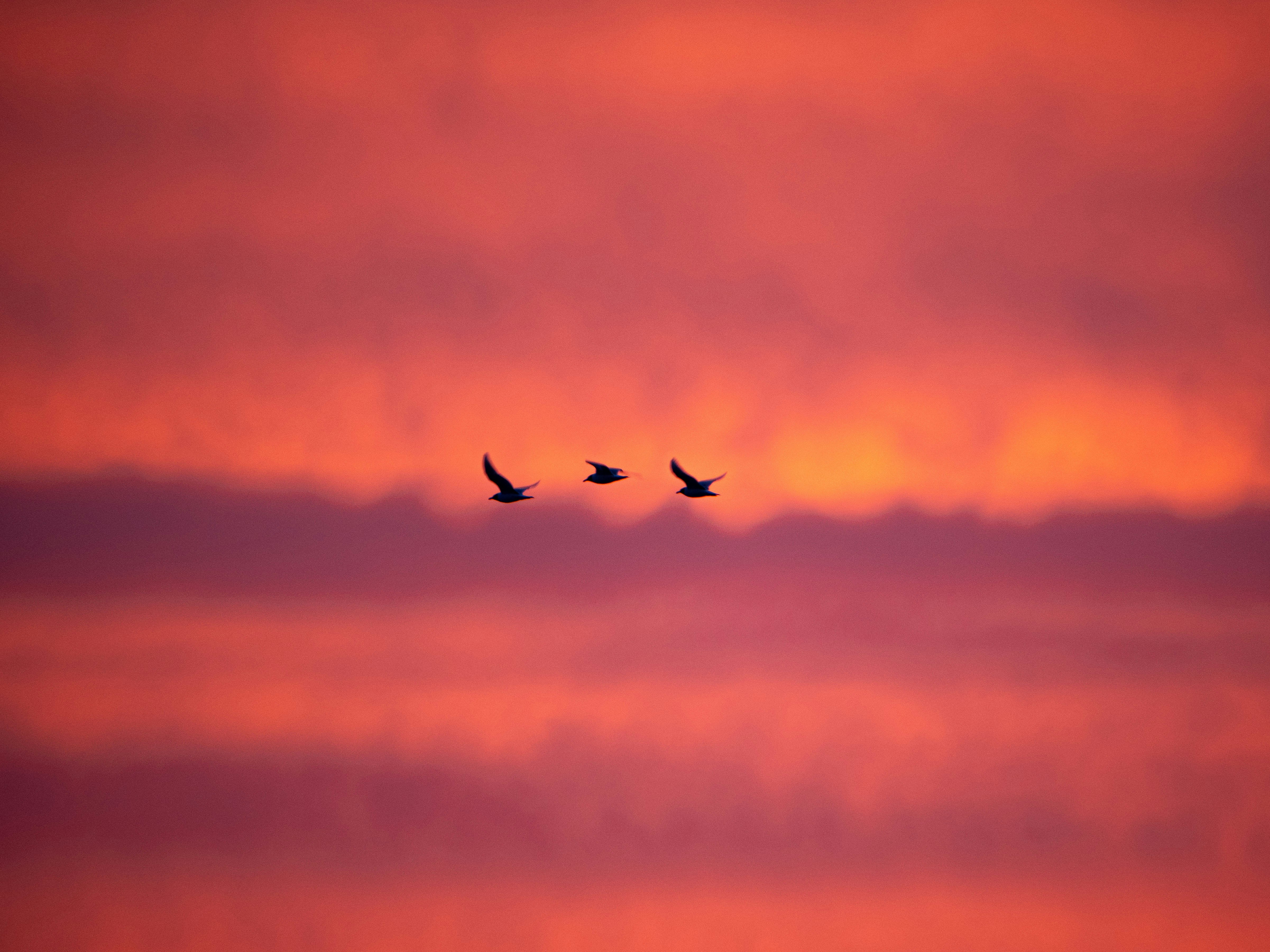 Photo by gopitri_prem