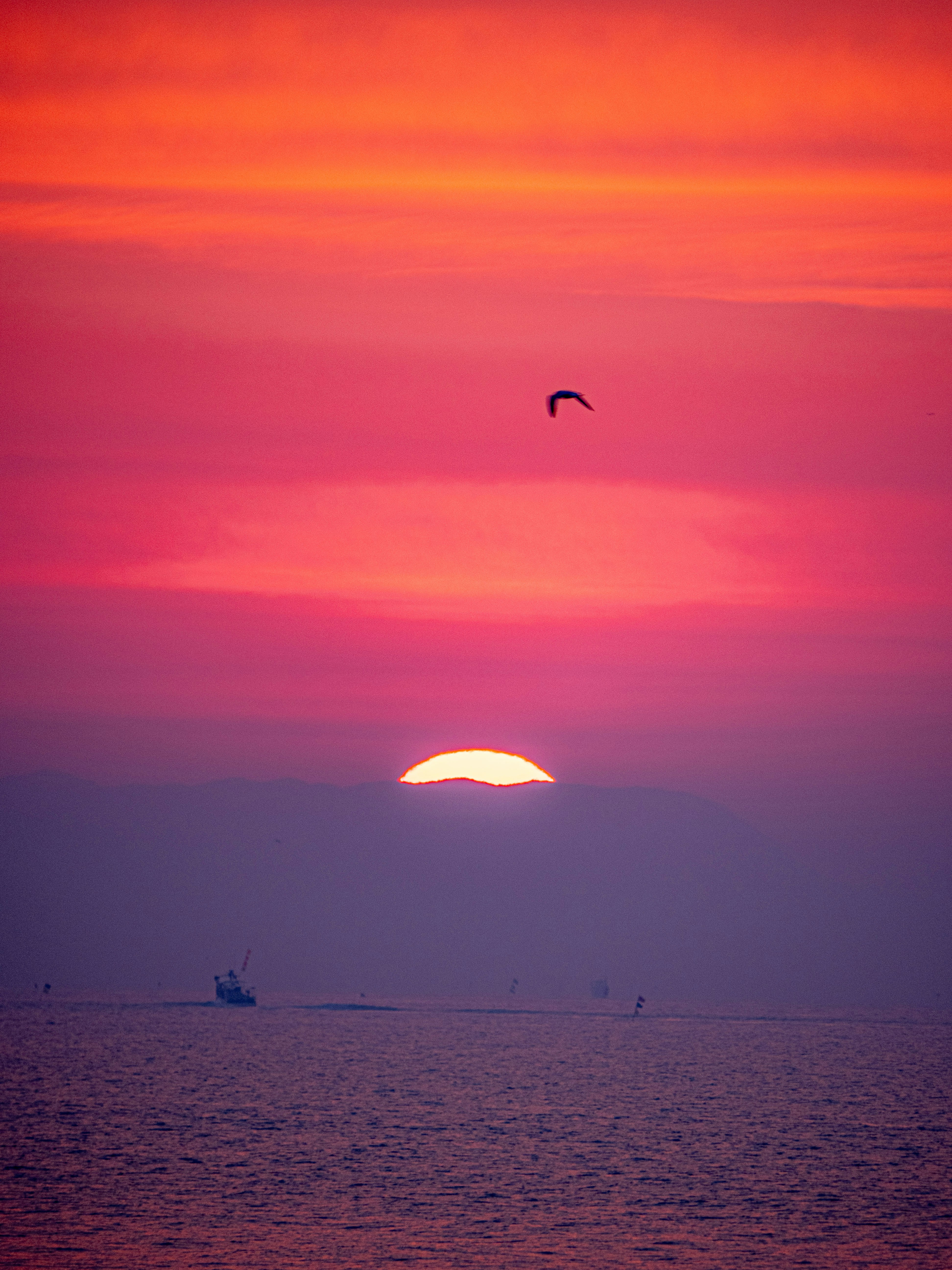 Photo by gopitri_prem