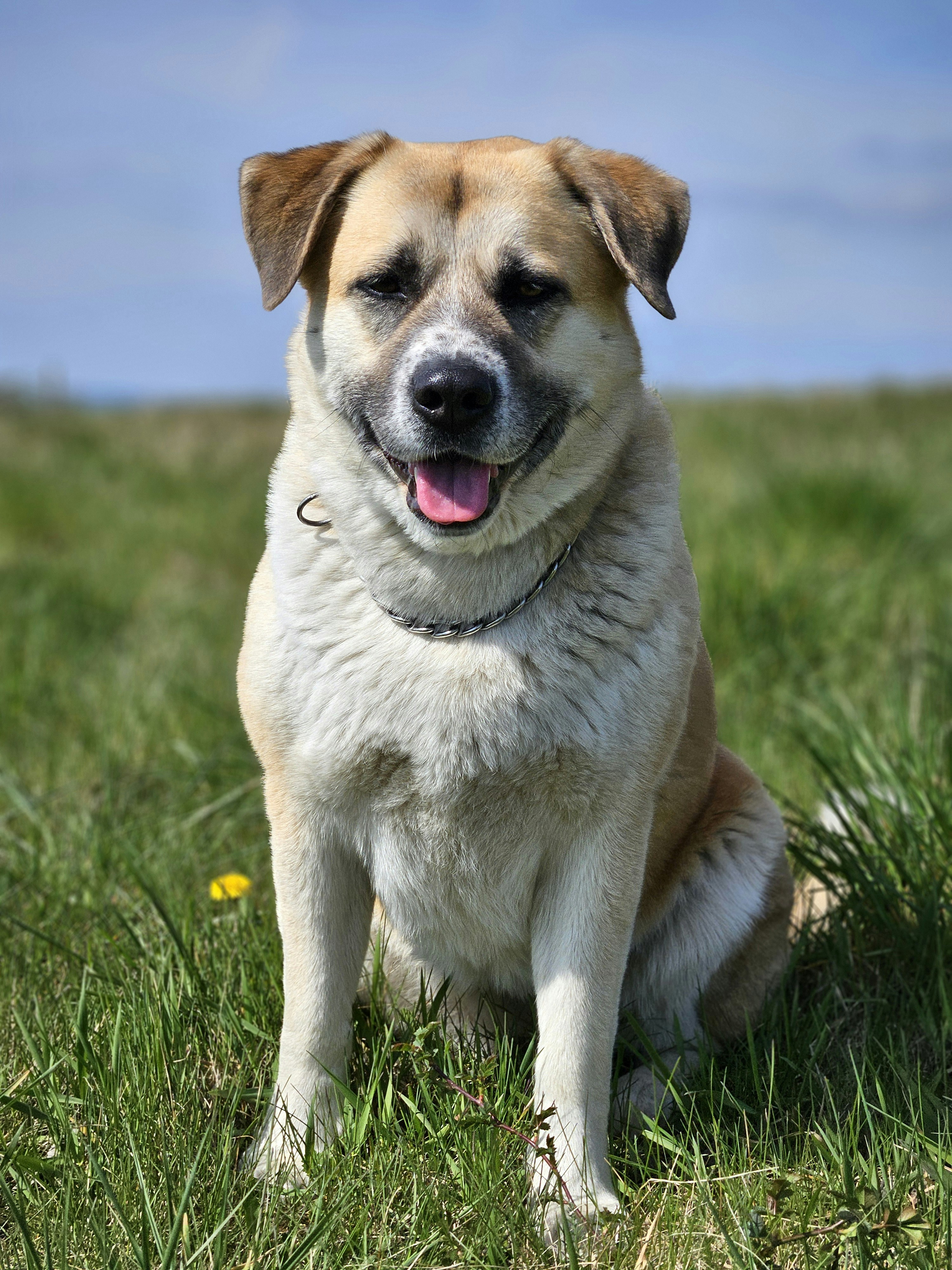 Photo by marjorylucabaxter