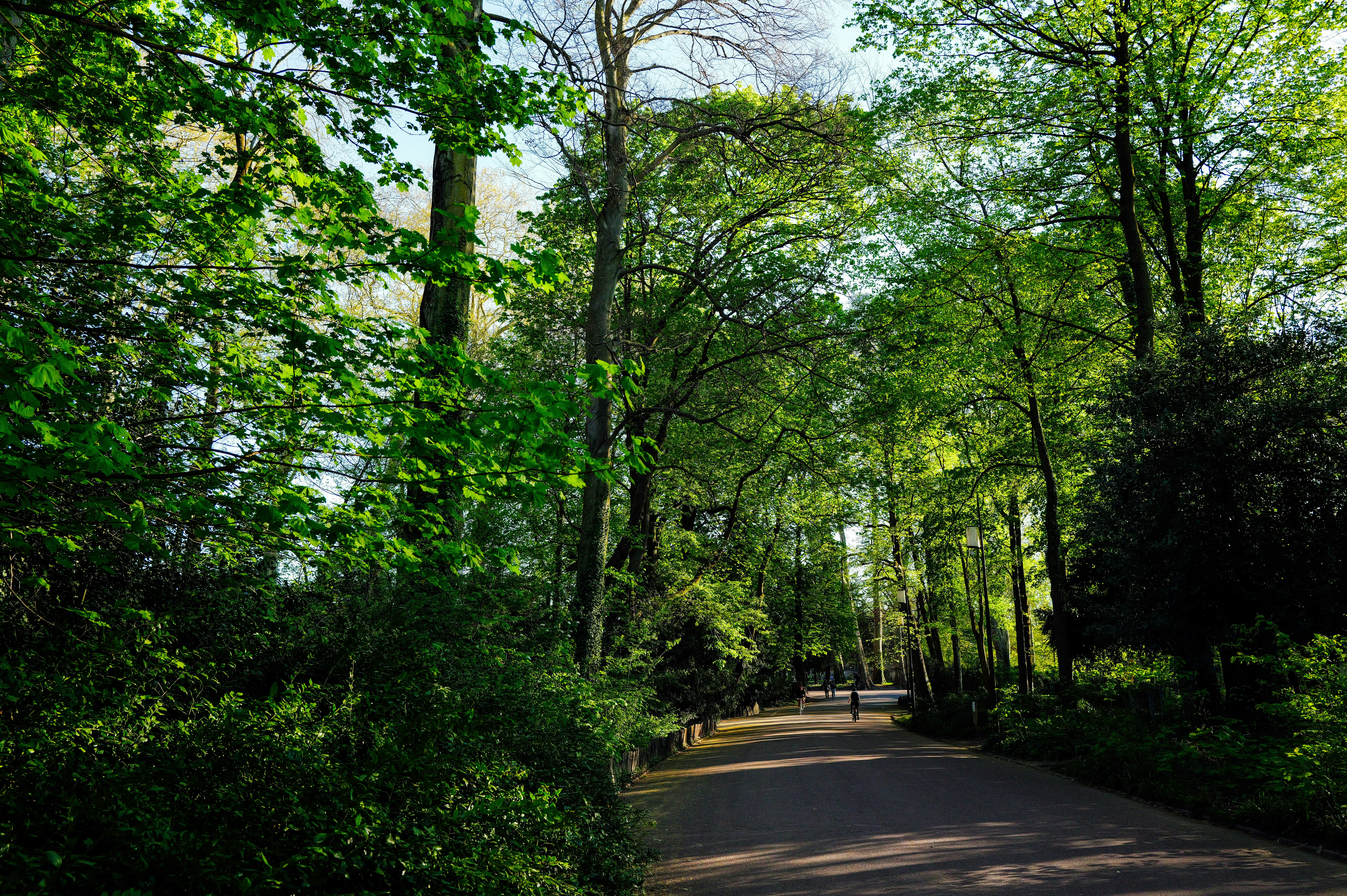 Photo by adrienolichon