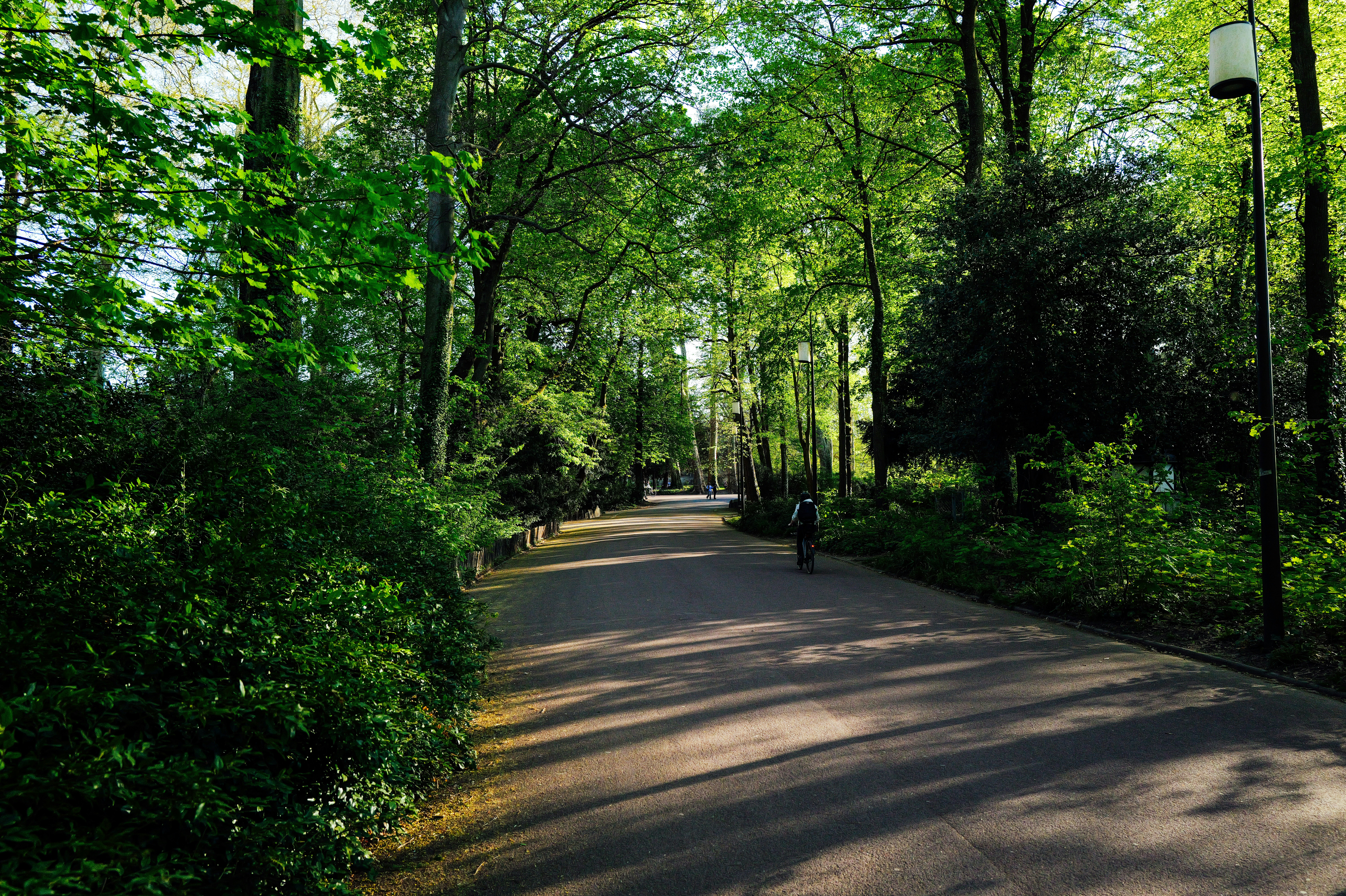 Photo by adrienolichon