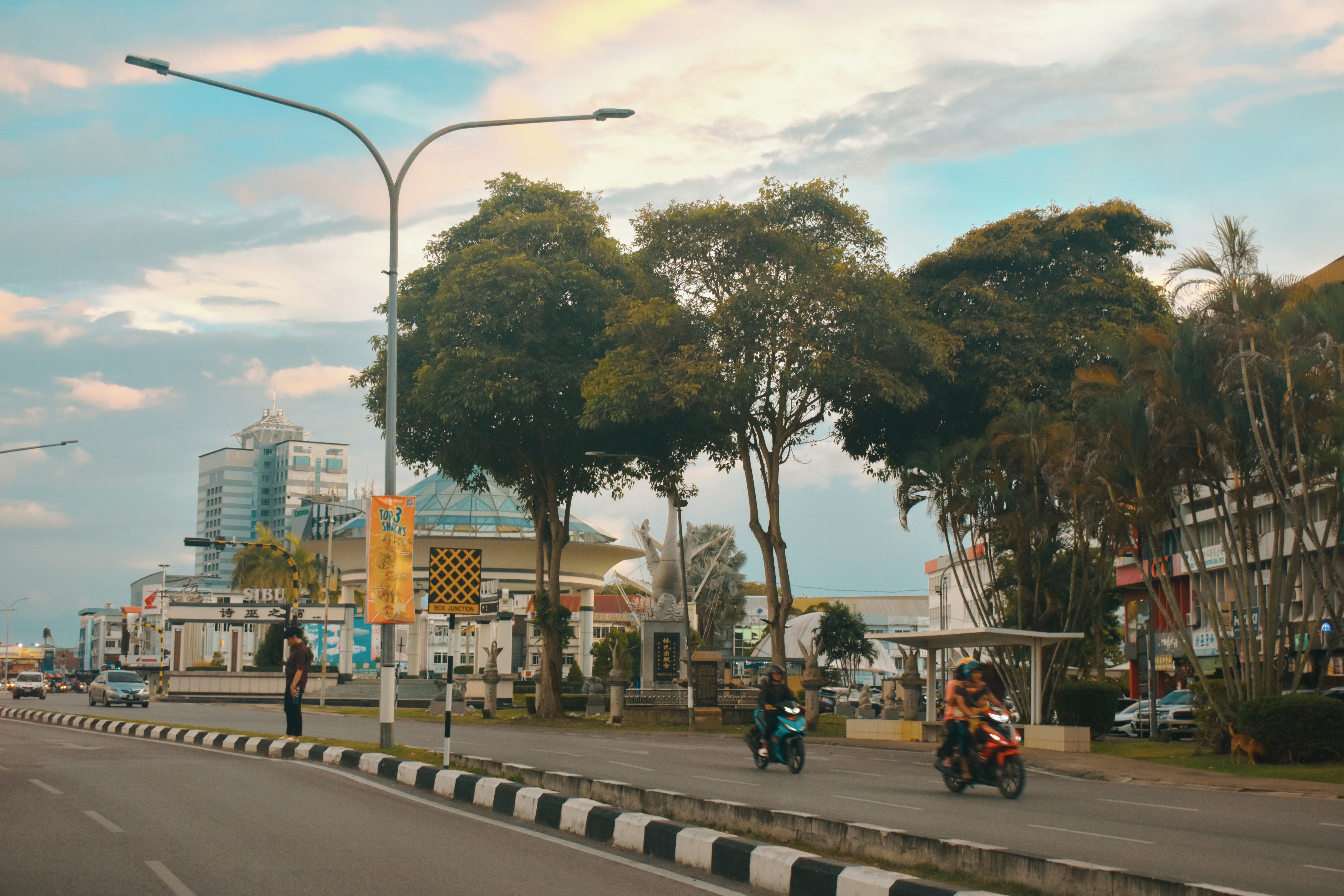 Eine Stadtstraße mit Gebäuden, Bäumen und Verkehr.