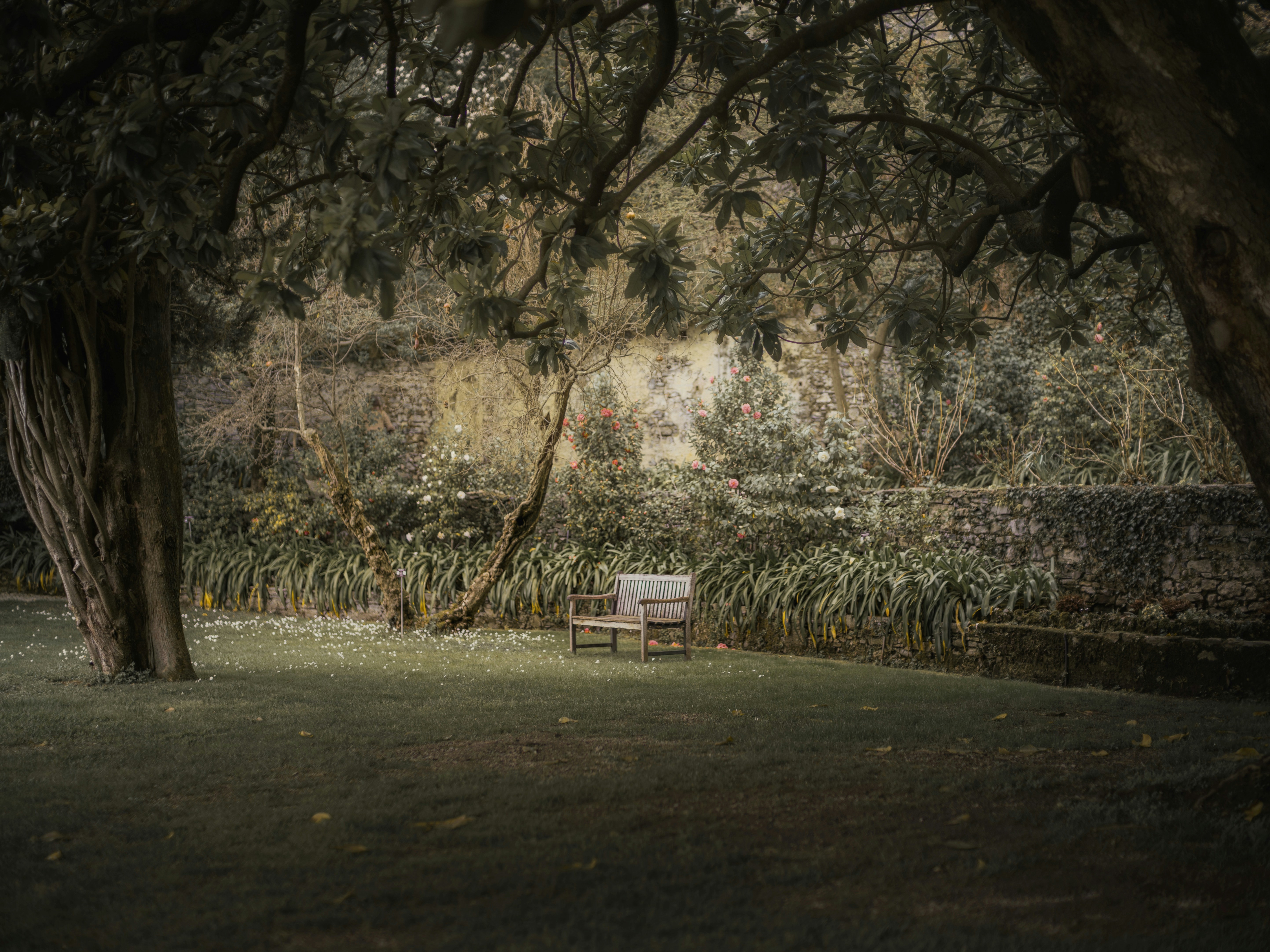 Photo by kevinmueller