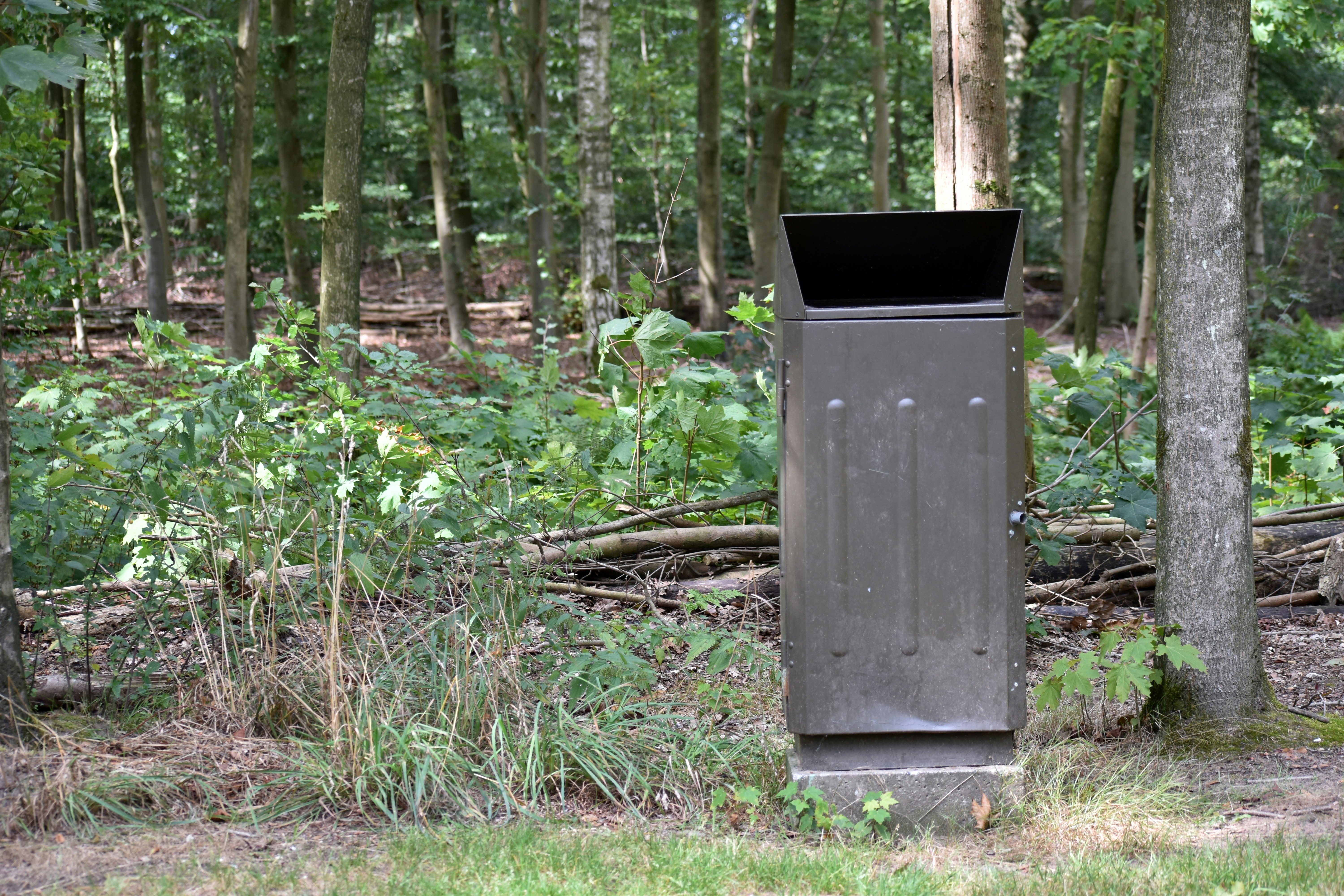 Trash can sits in a forest setting.