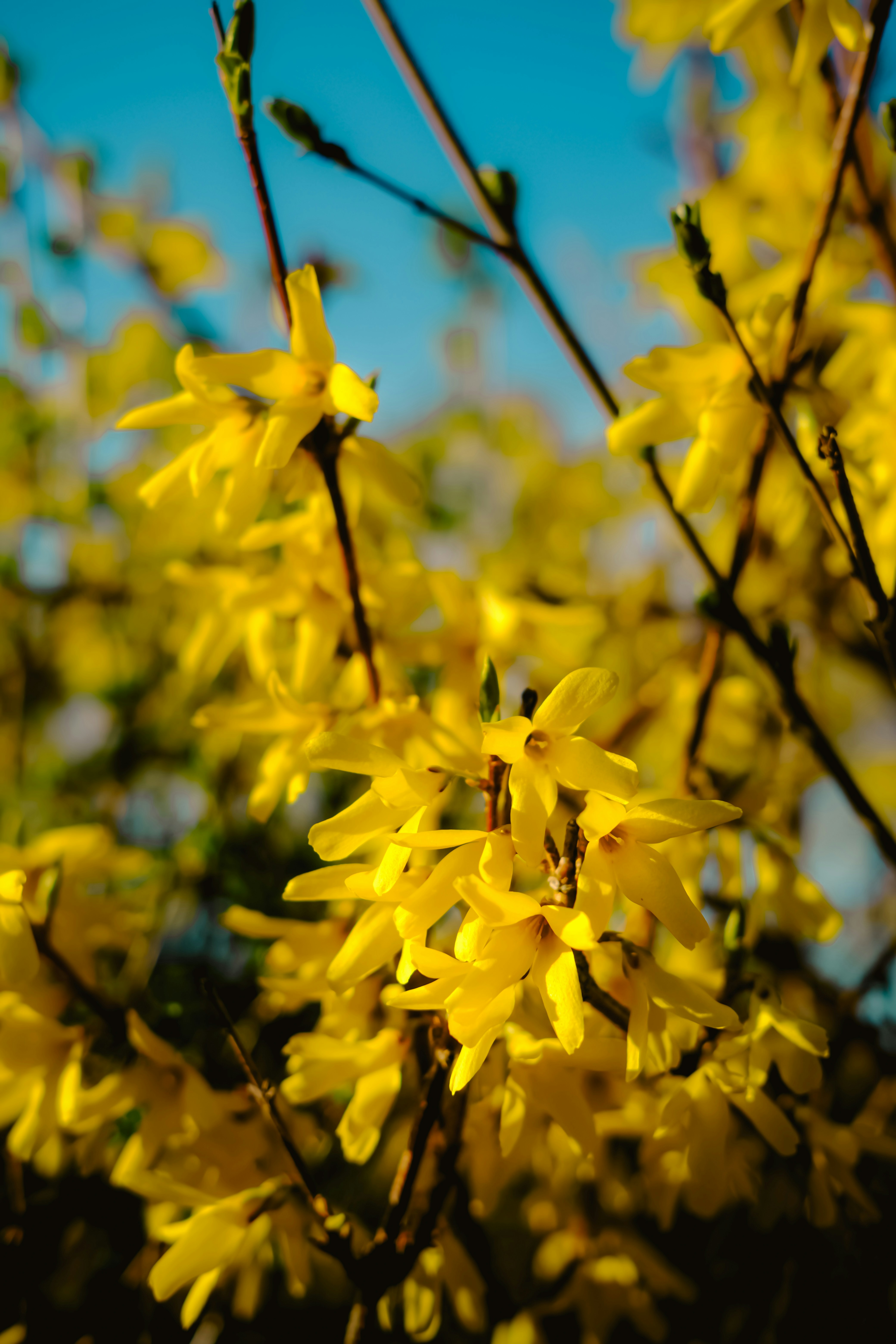 Photo by denisaficau