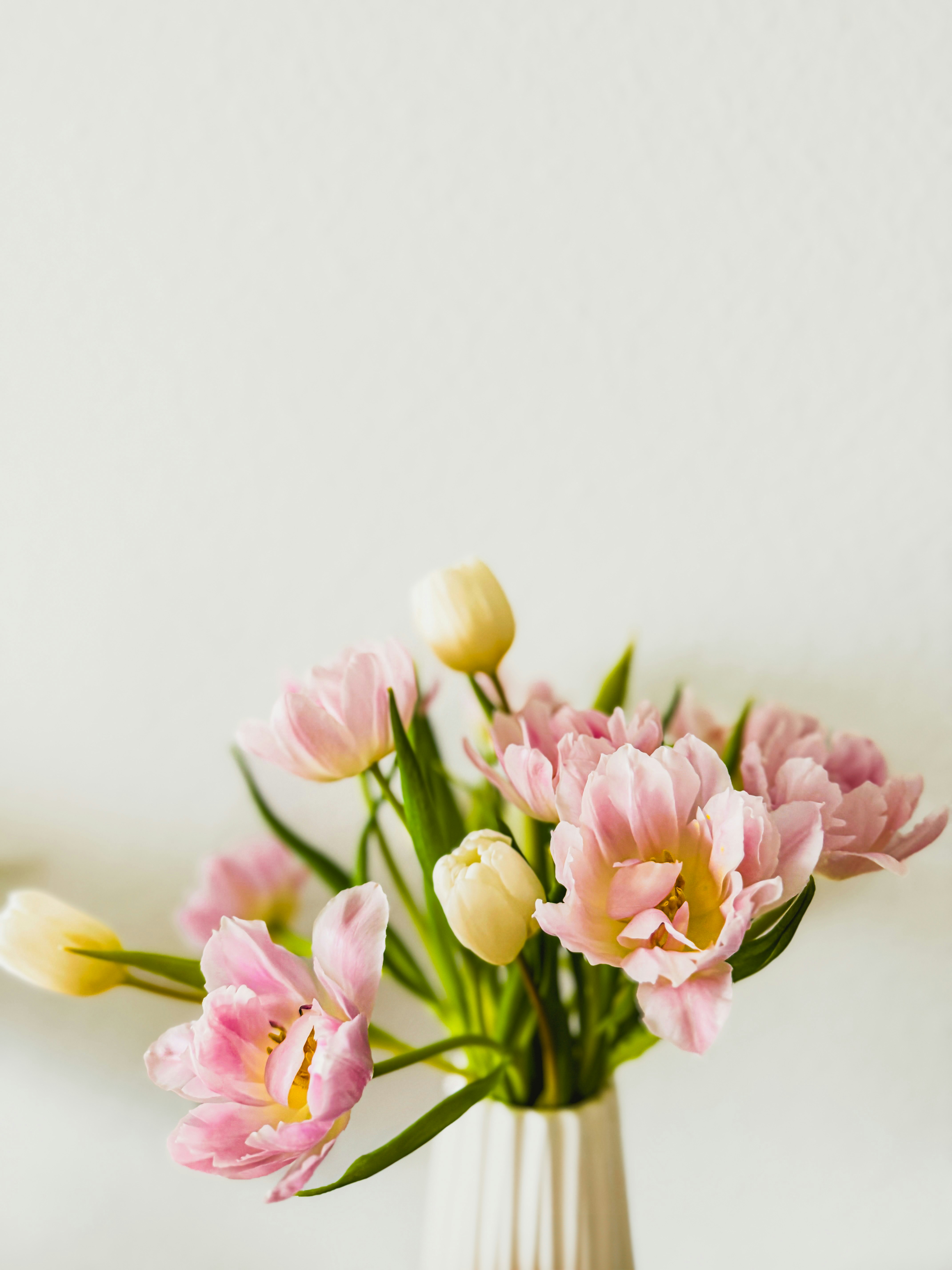 Photo by denisaficau