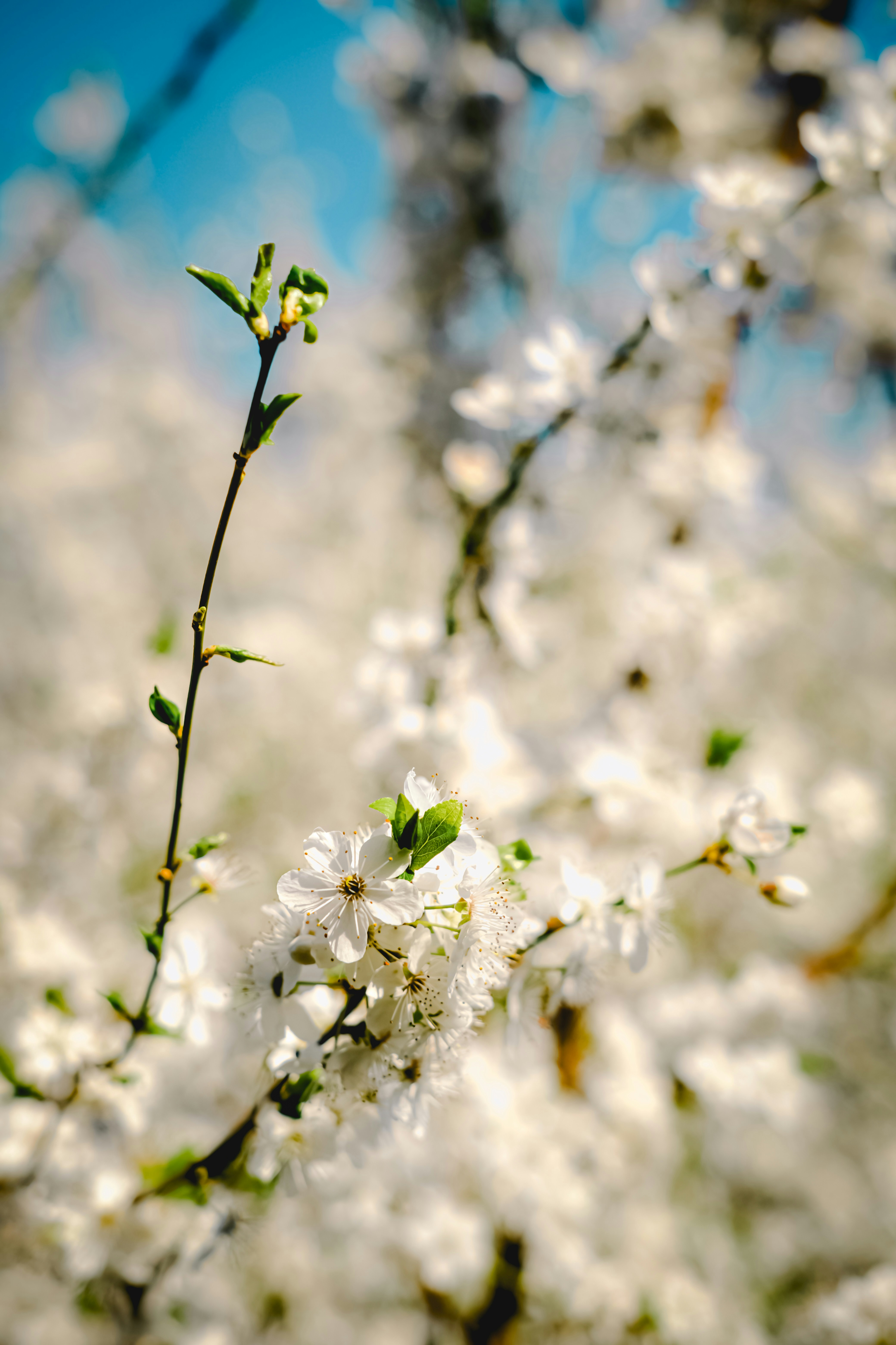 Photo by denisaficau