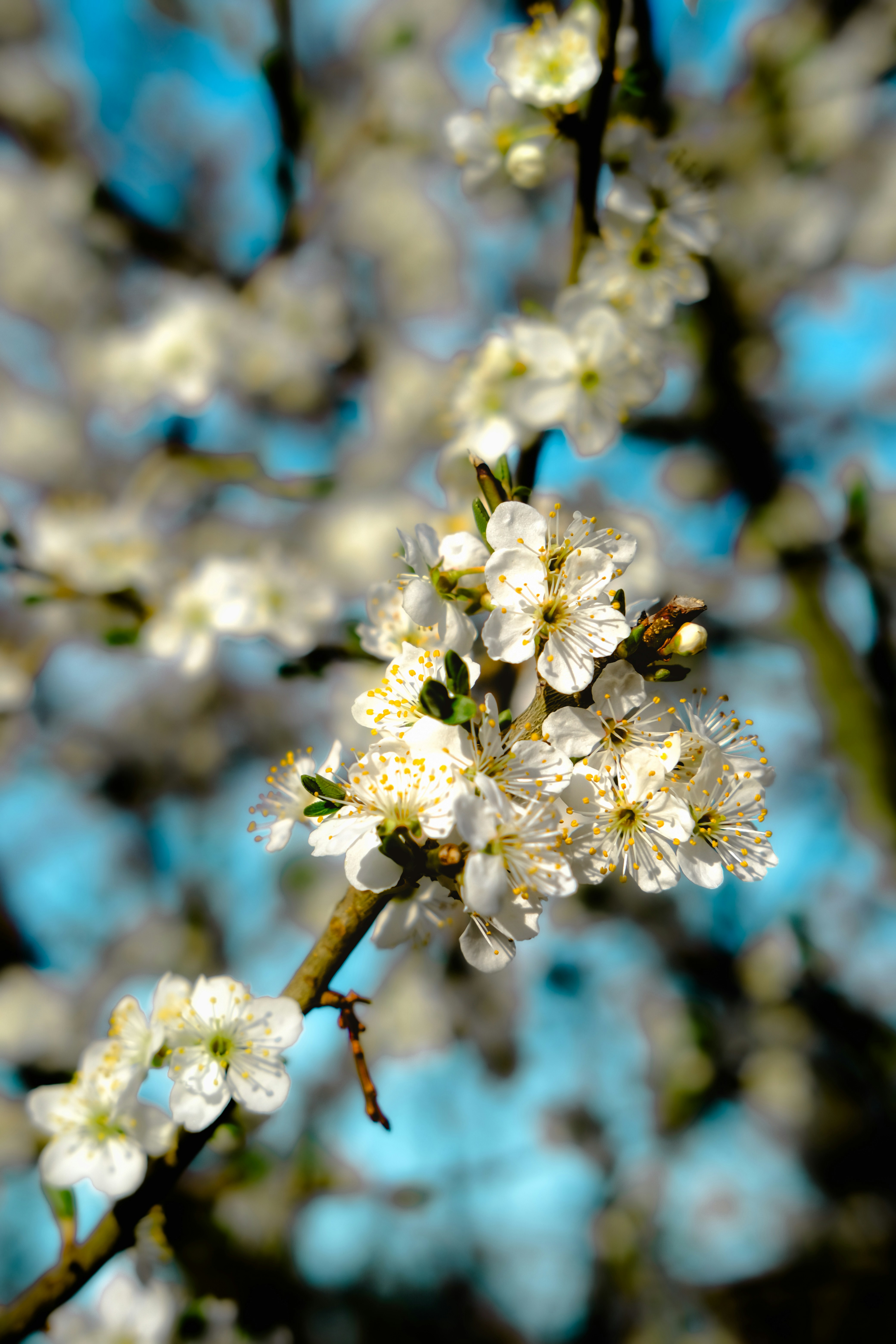 Photo by denisaficau