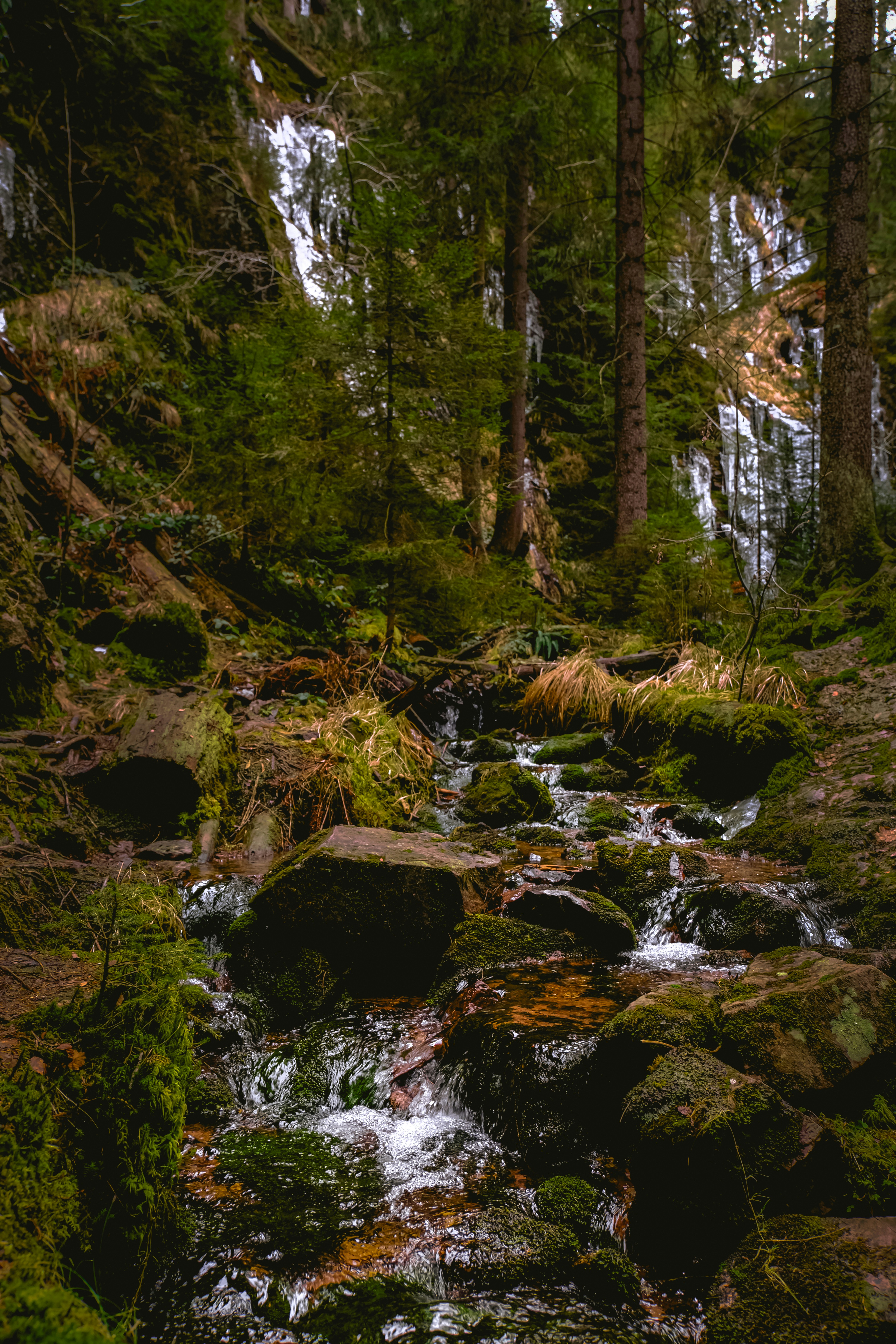 Photo by denisaficau