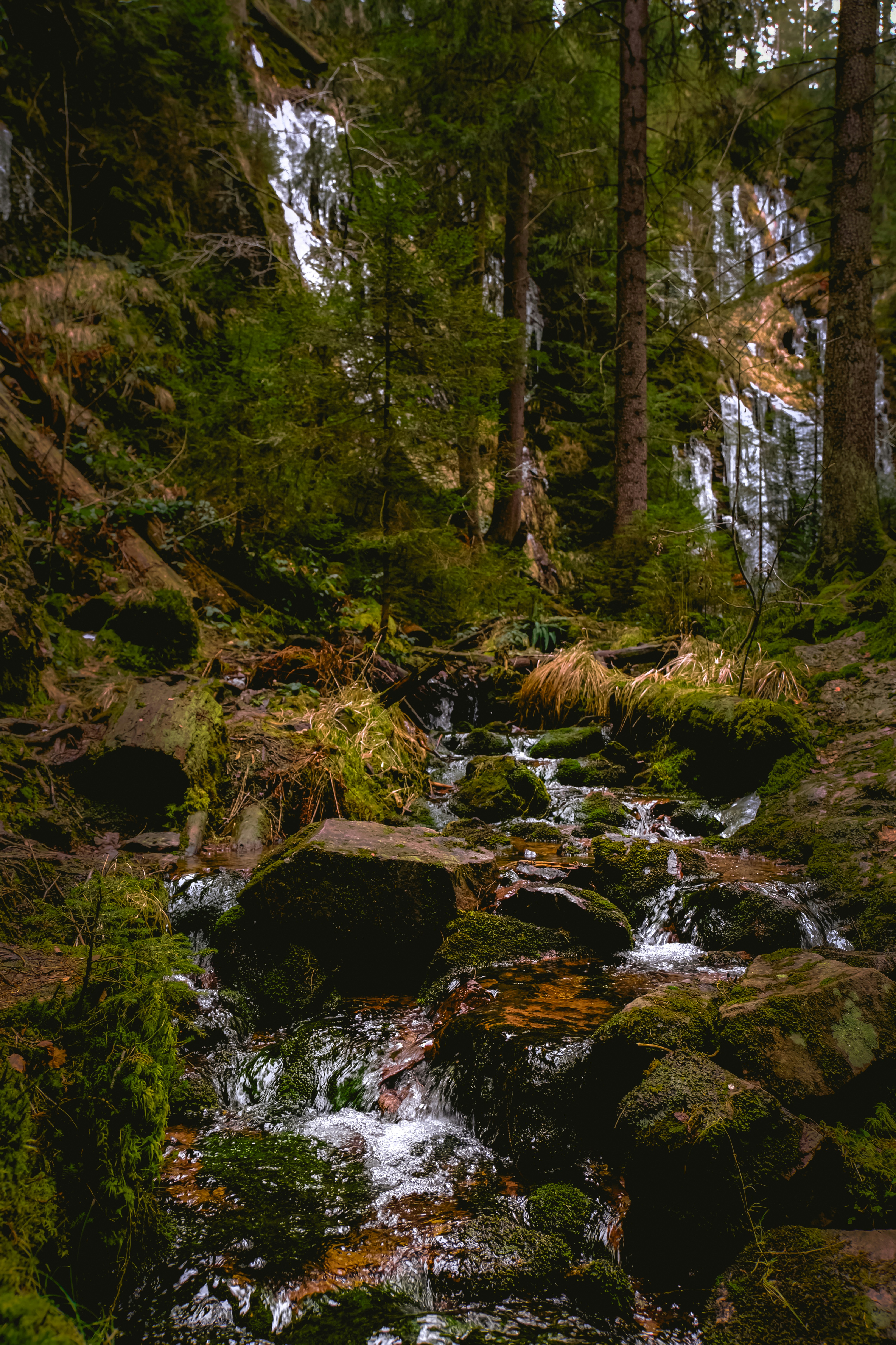 Photo by denisaficau