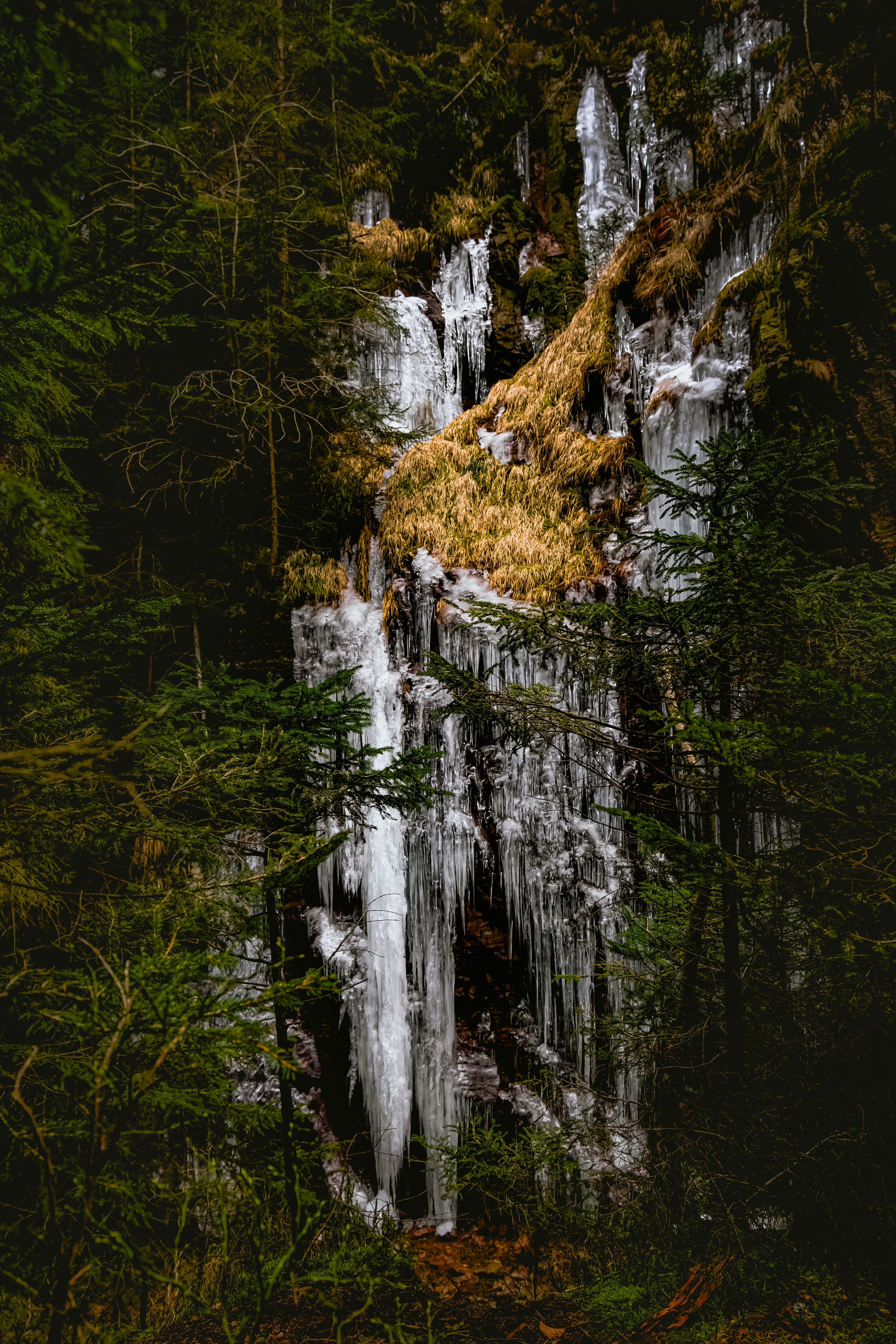 Photo by denisaficau