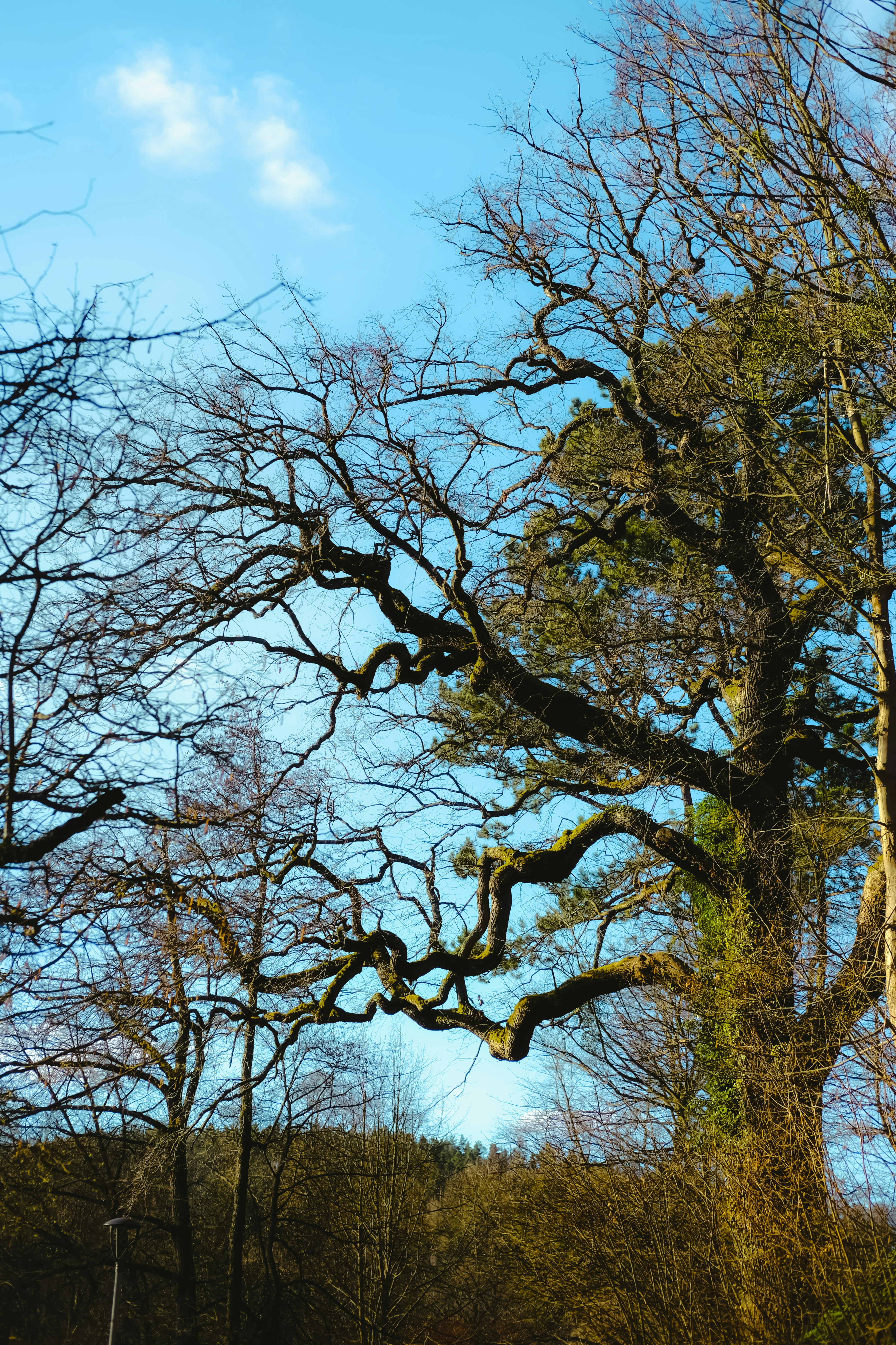 Photo by denisaficau