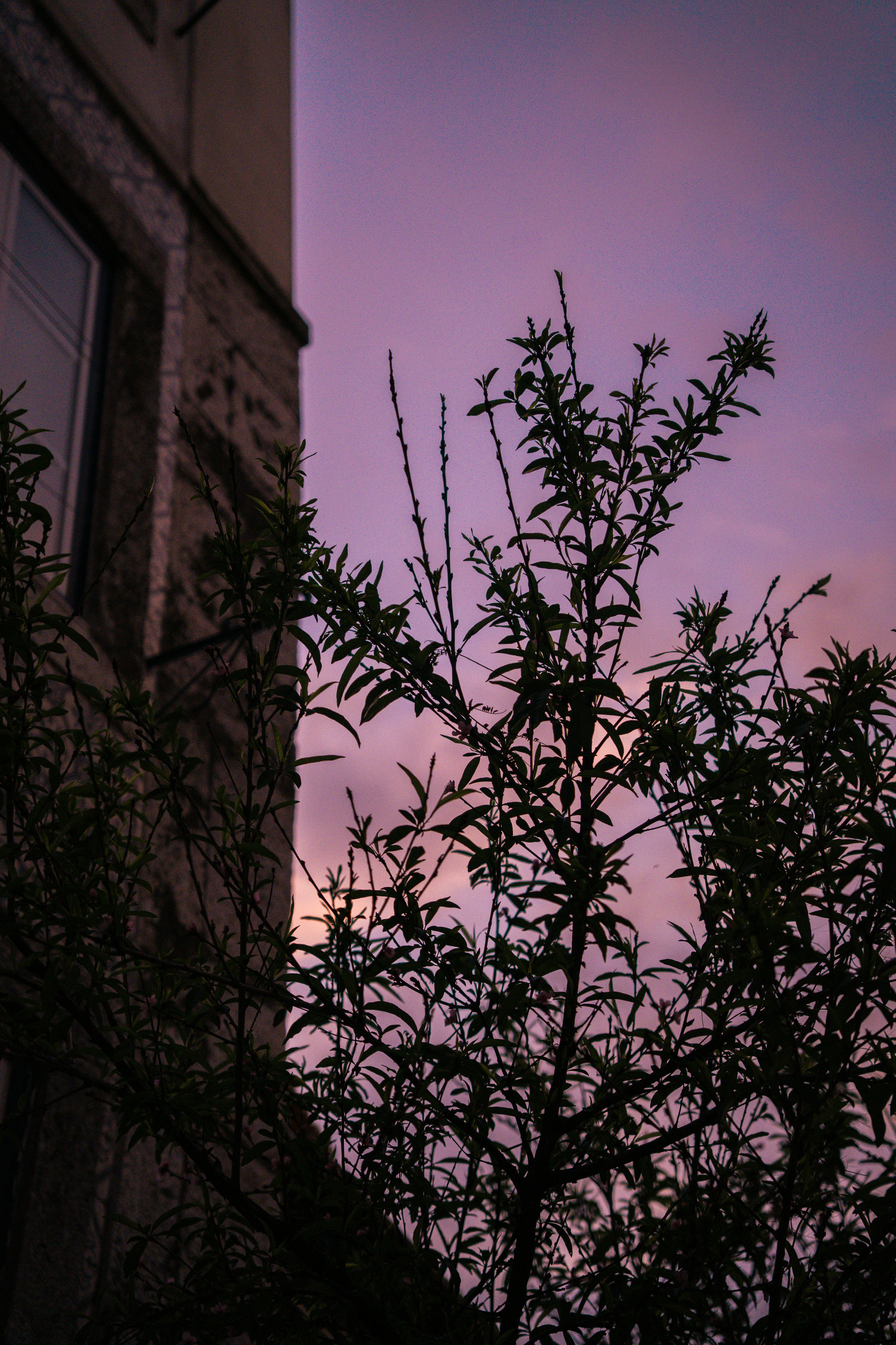 Photo by sergiokian